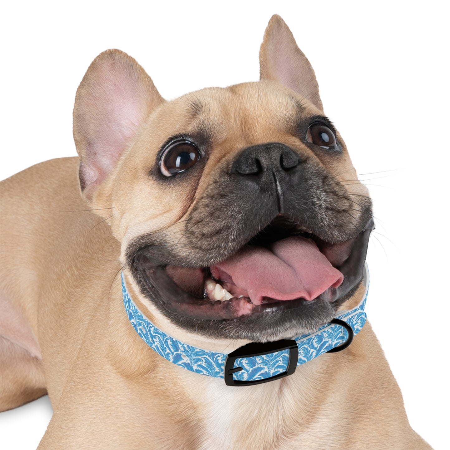 Tropical Dog Collar - Rocco Blues