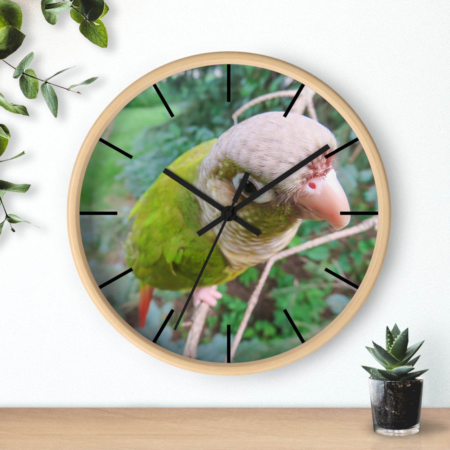 Wall Clock, Spunky Parrot, Hands/Base Variants