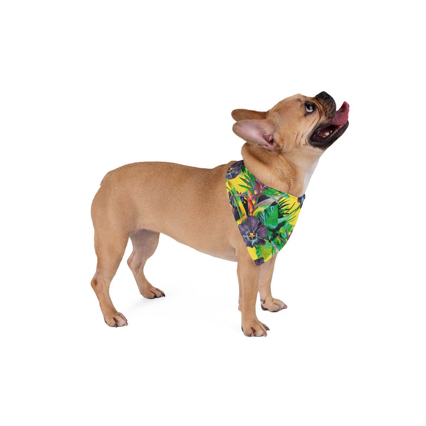 Yellow Plant Palooza Tropical Pet Bandana, 2 Sizes - Stylish accessory for dogs & cats