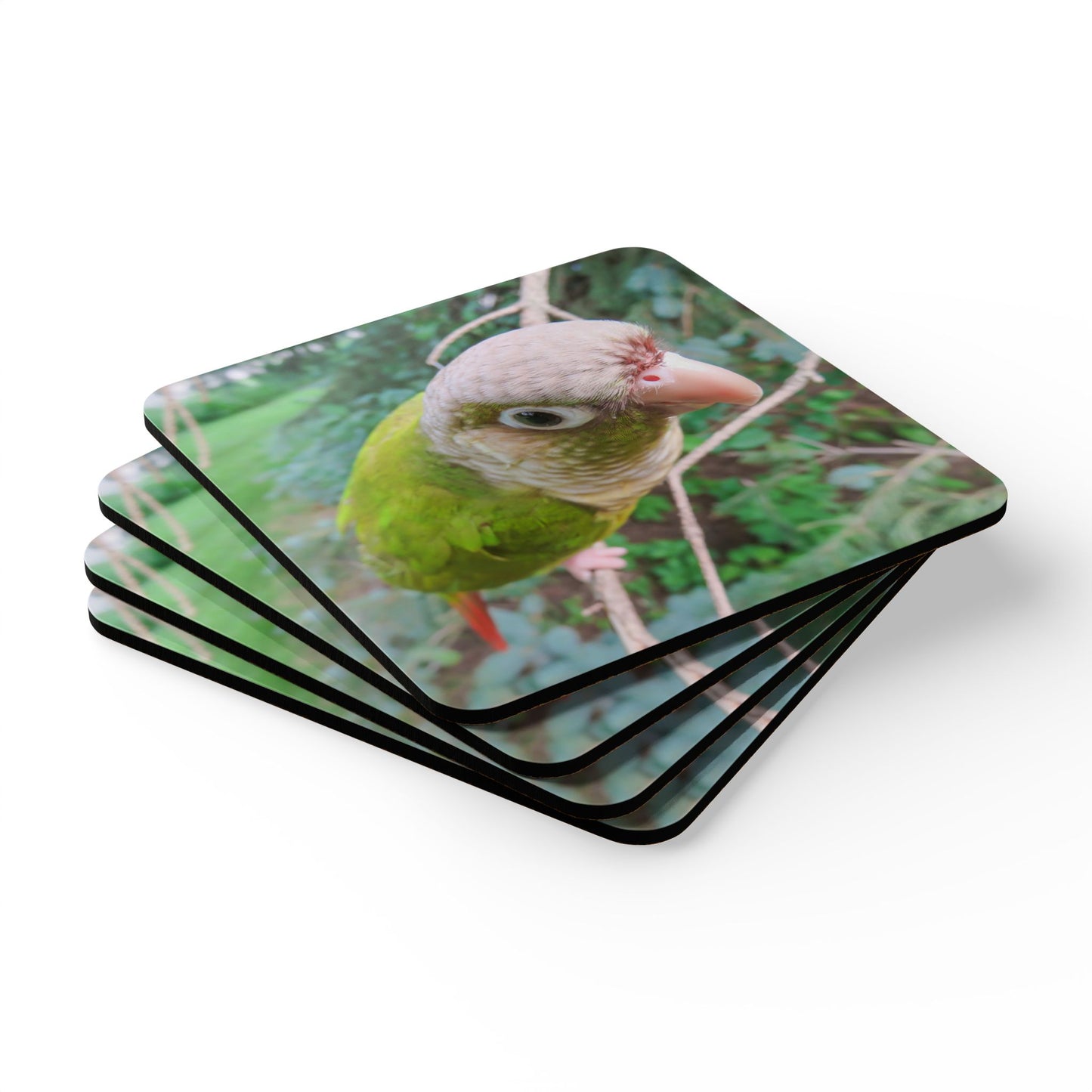 Coaster Set - Watchful Parrot