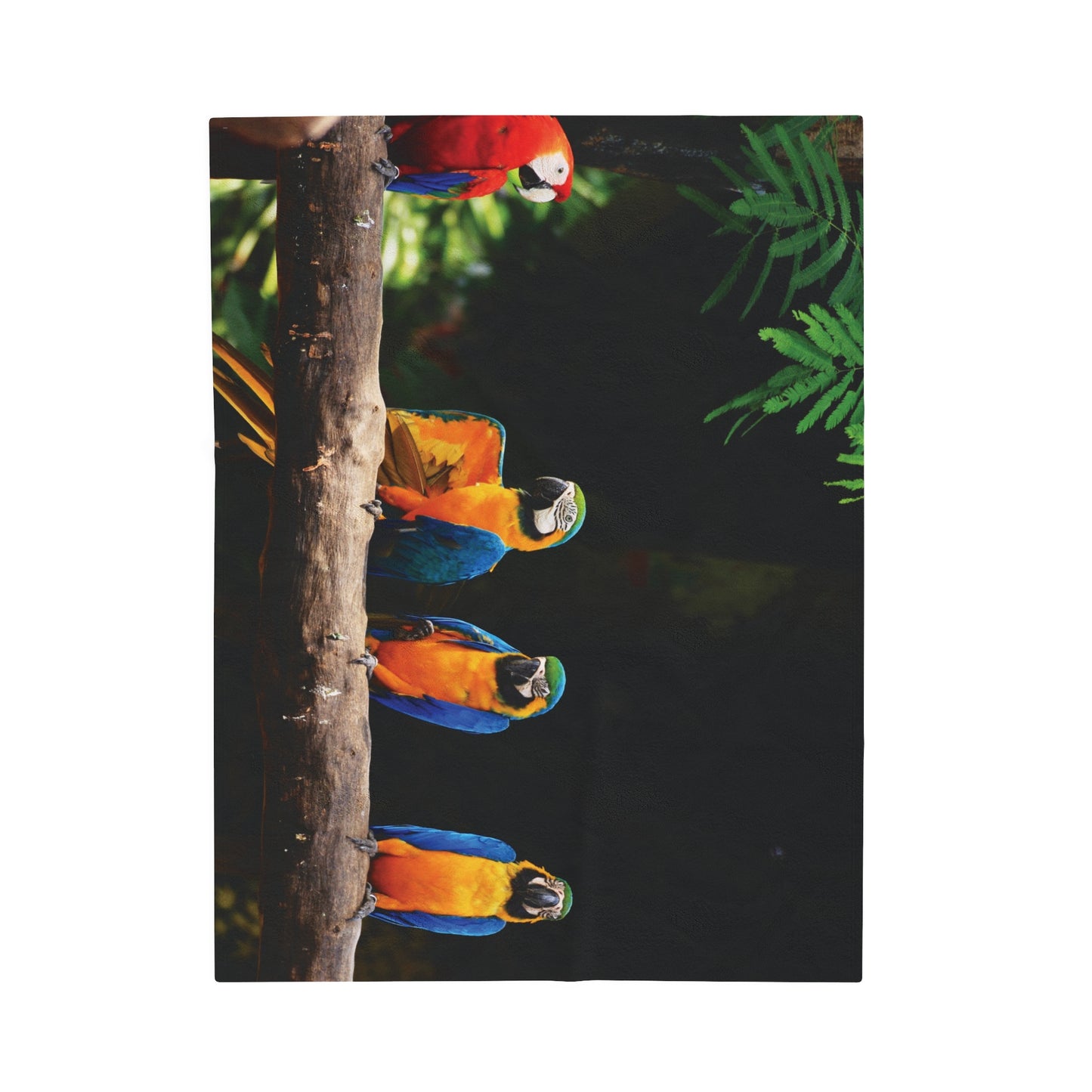 Tropical Parrot Club Velveteen Plush Blanket - Cozy Home Decor for Nature Lovers