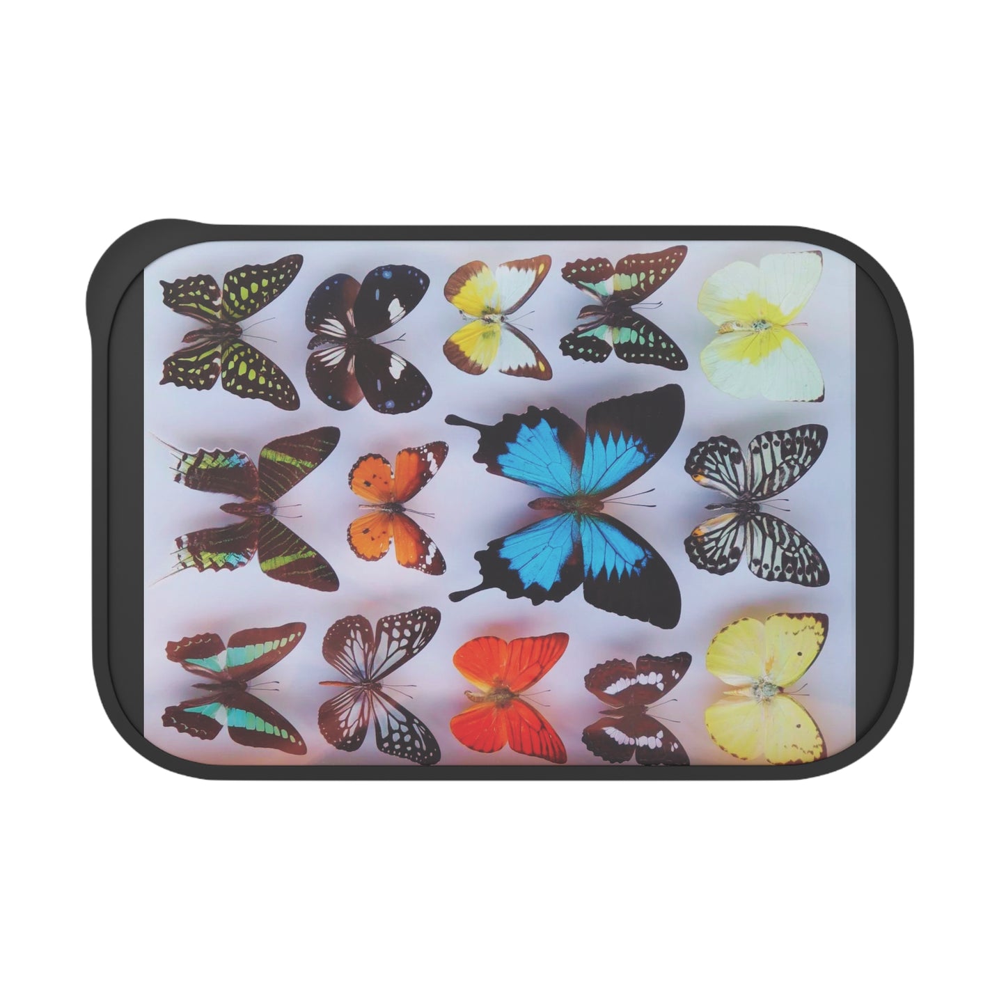 Bento Box with Utensils - Tropical Butterfly Collection