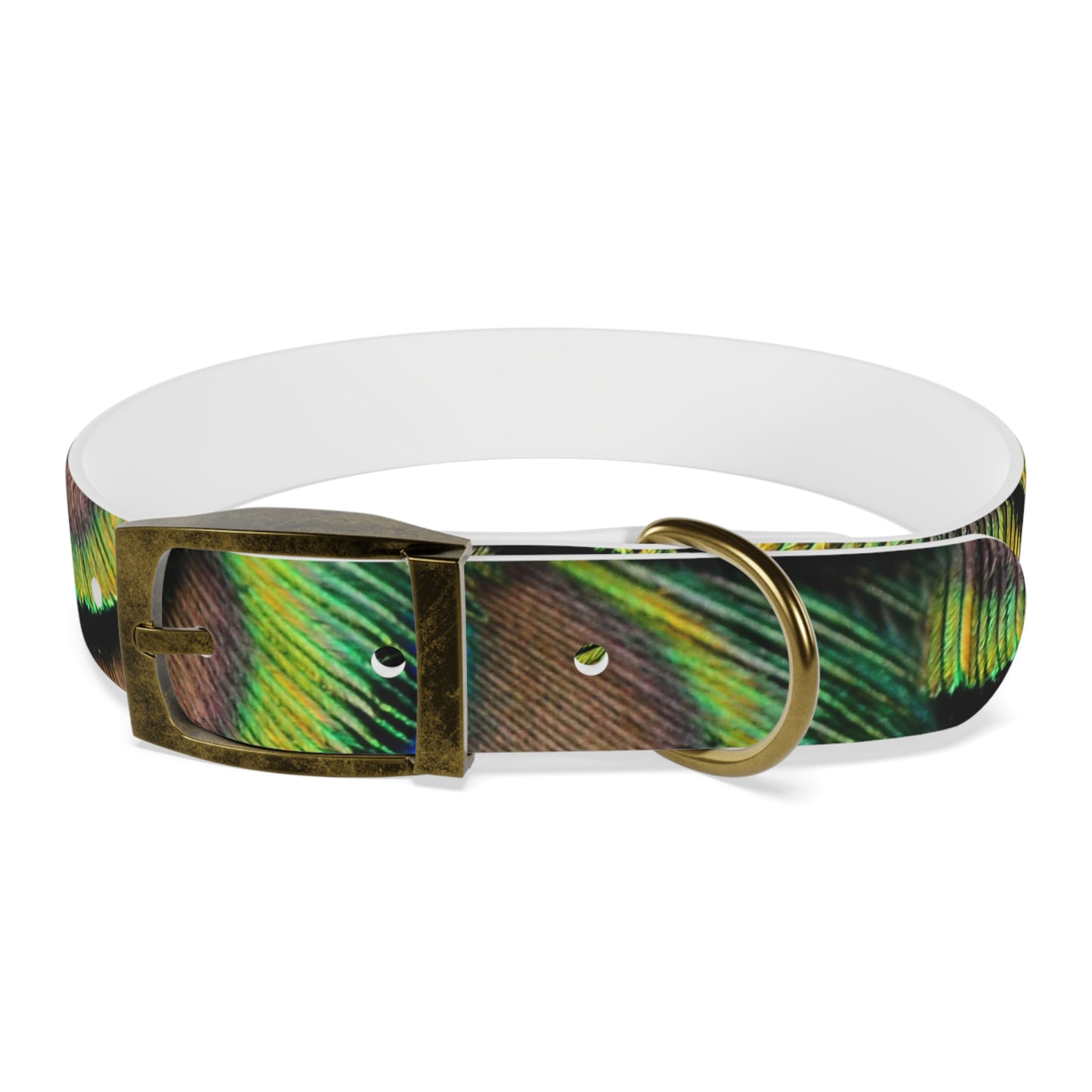 Dog Collar - Brilliant Green Peacock Feathers