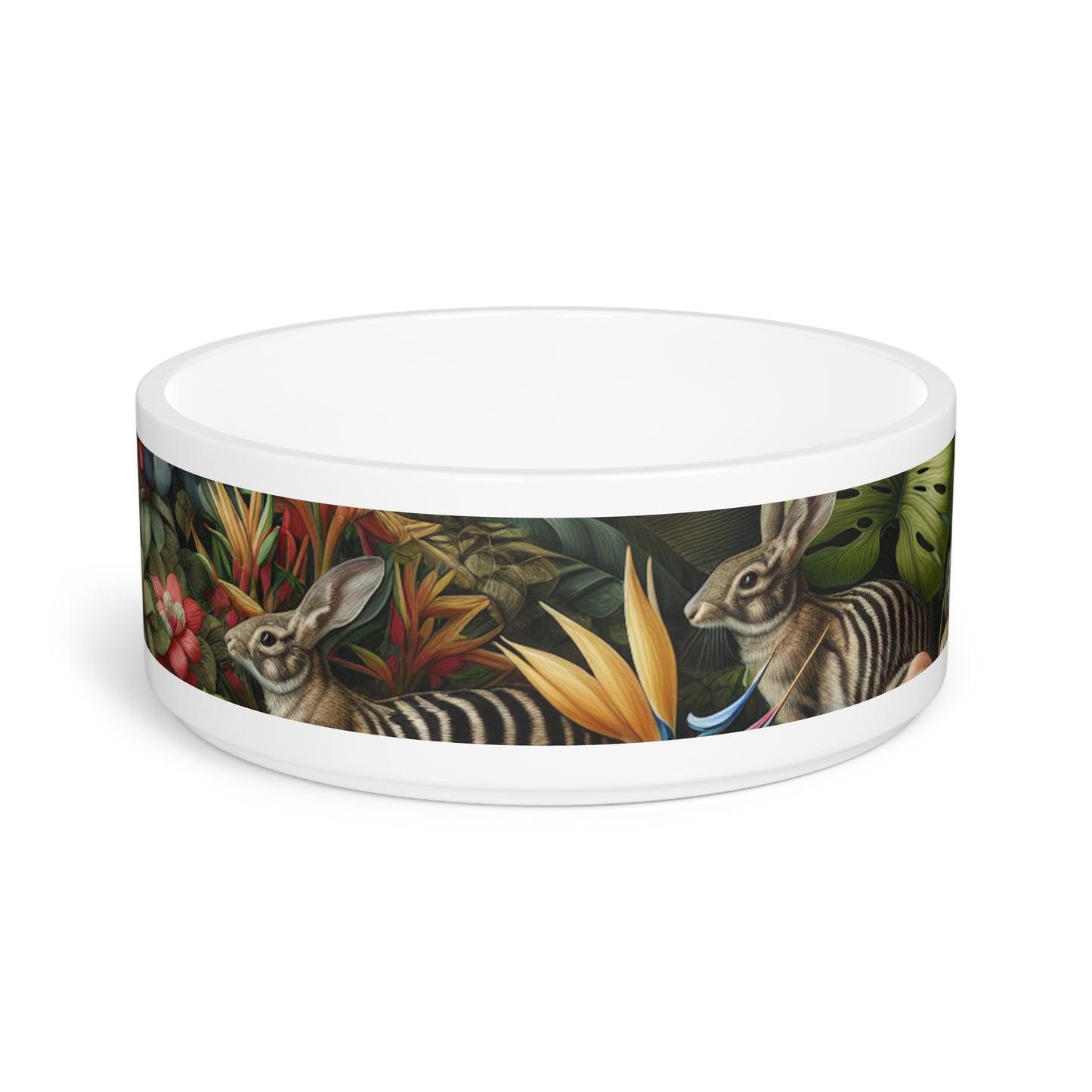 Pet Bowl, Rainforest Rabbit Outing