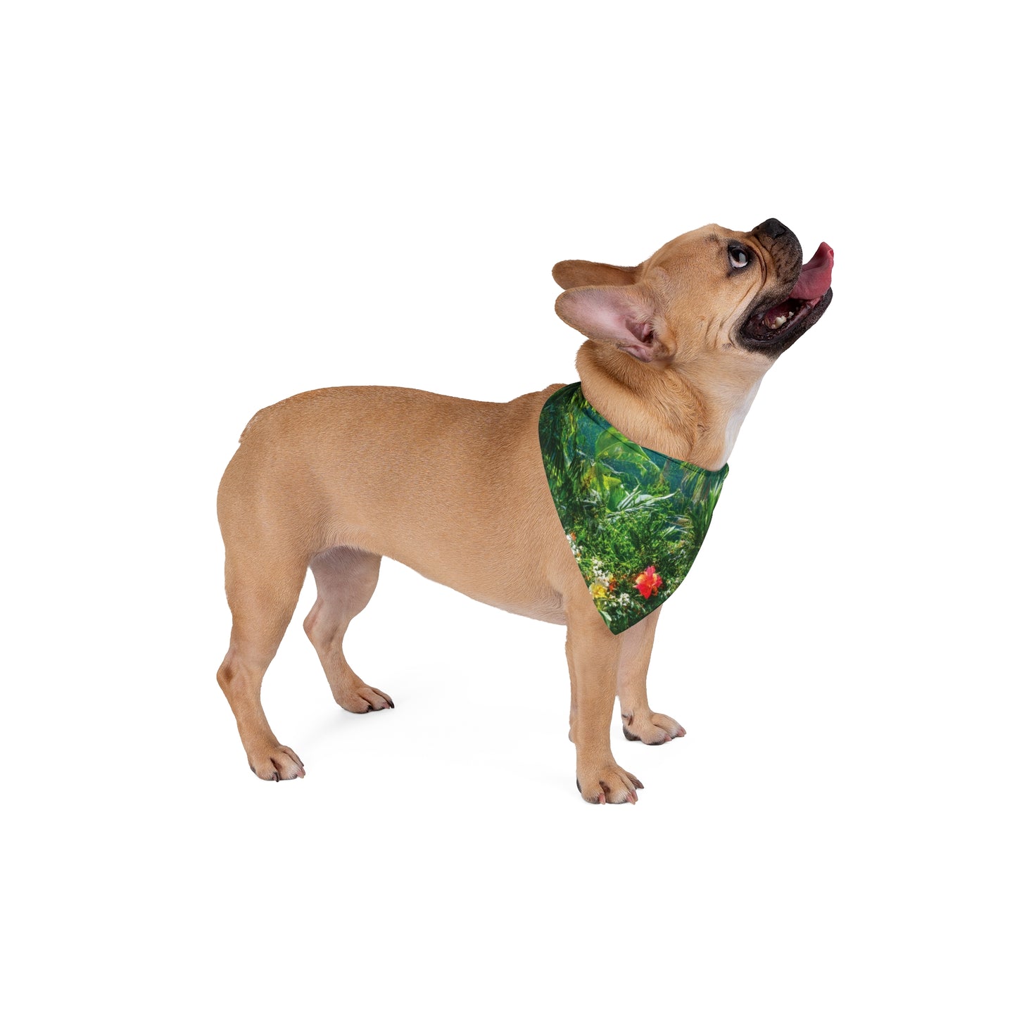 Rainforest Path Pet Bandana, 2 Sizes - Stylish accessory for dogs & cats