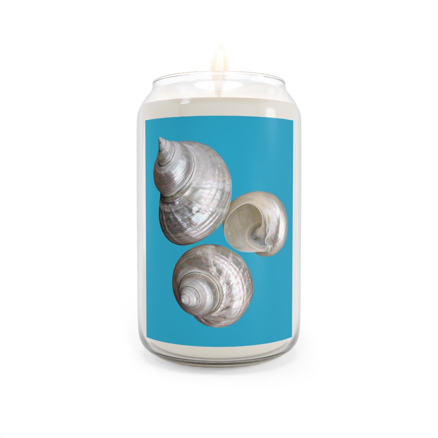 Scented Candle, 13.75oz - White Nautilus Trio, turquoise