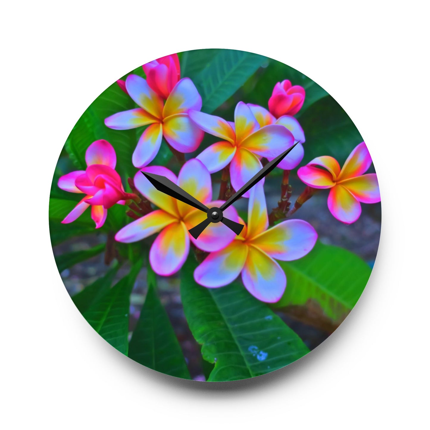 Acrylic Wall Clock, Hawaiian Flowers