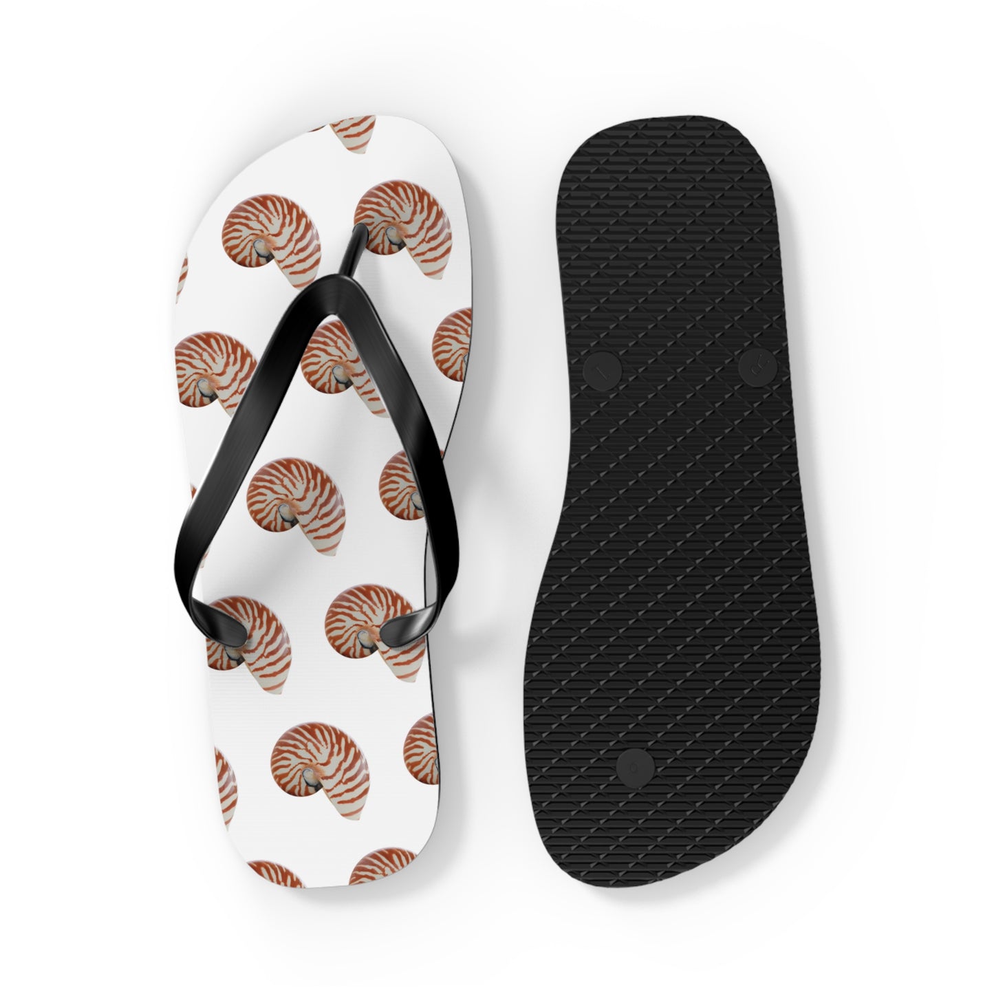 Flip Flops - Tiger Stripe Nautilus Shell