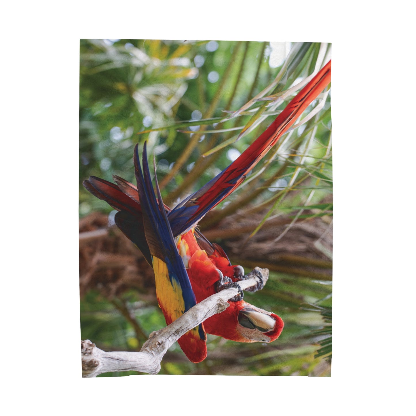 Tropical Gymnast Parrot Velveteen Plush Blanket - Cozy Home Decor for Nature Lovers