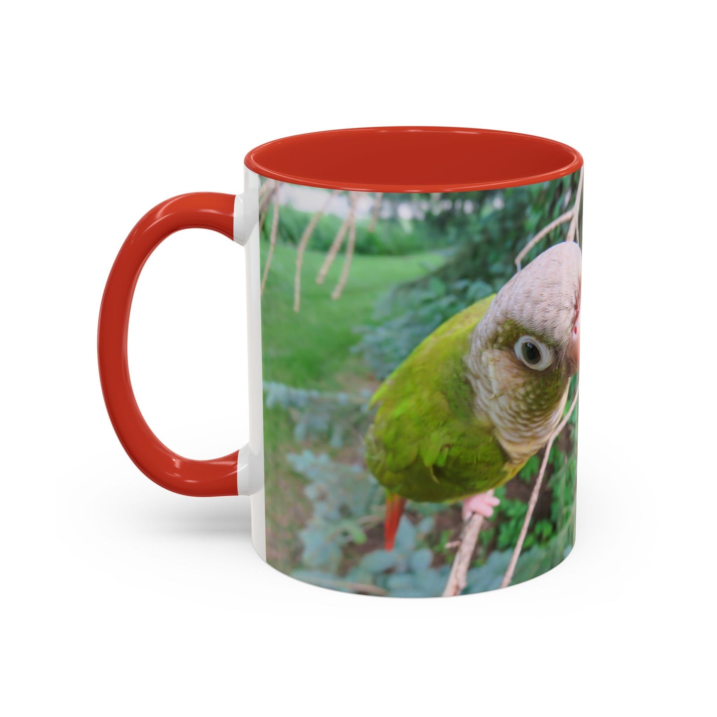 Parrot Accent Coffee Mug (11, 15oz), 8 Colors - You Look Guilty!