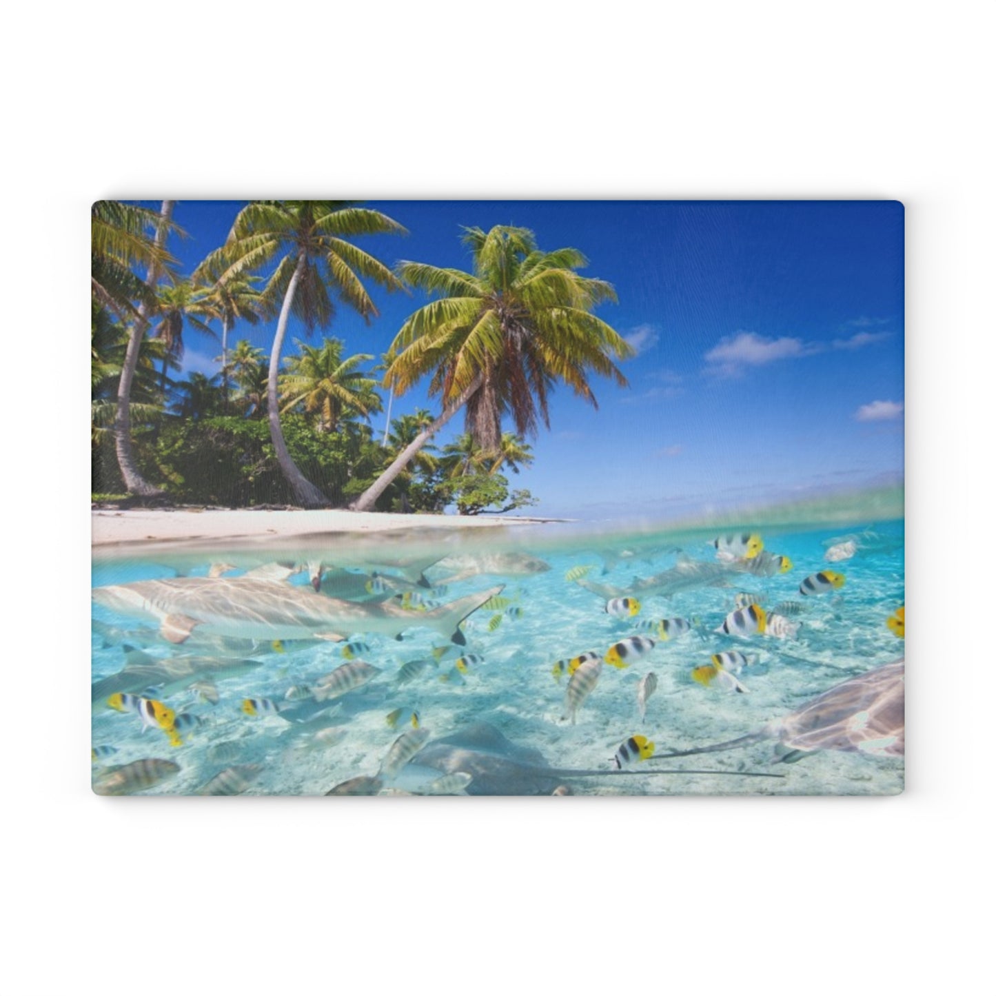 Glass Cutting Board, 2 sizes - Shore Aquarium