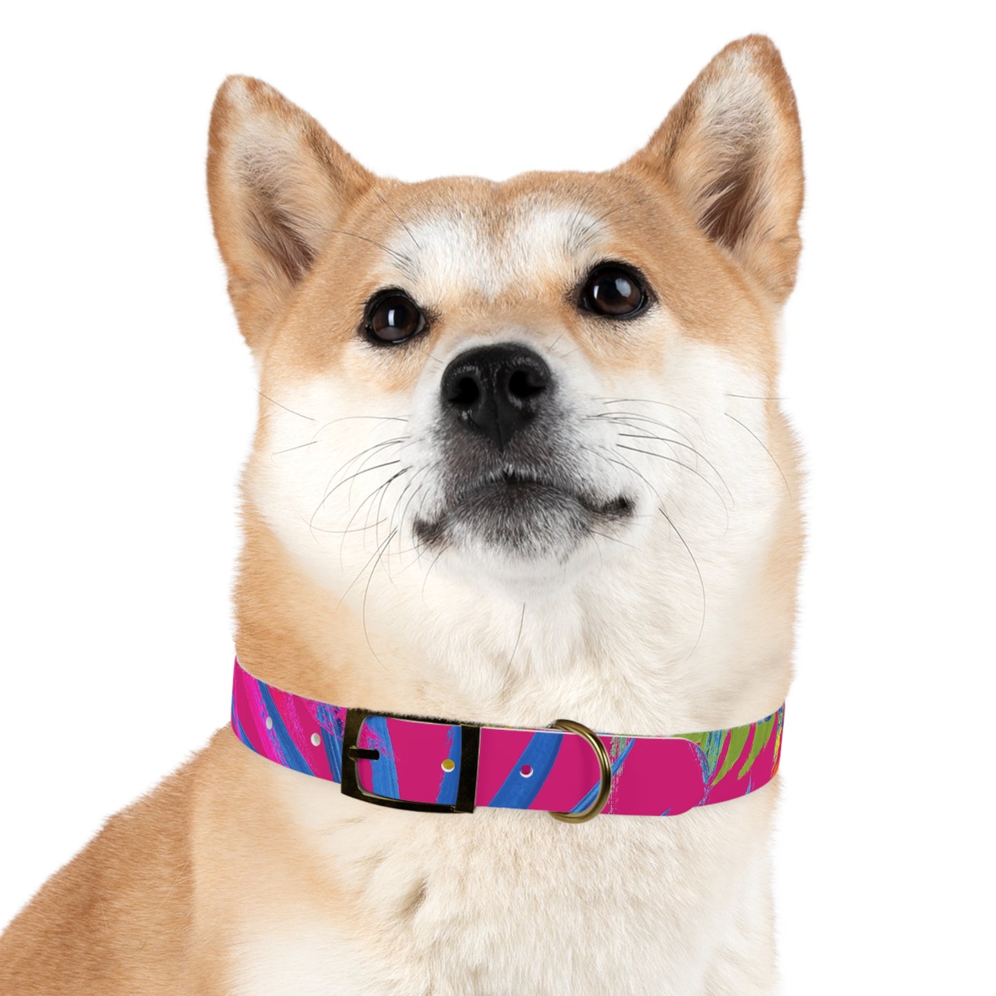 Dog Collar - Exotic Flora