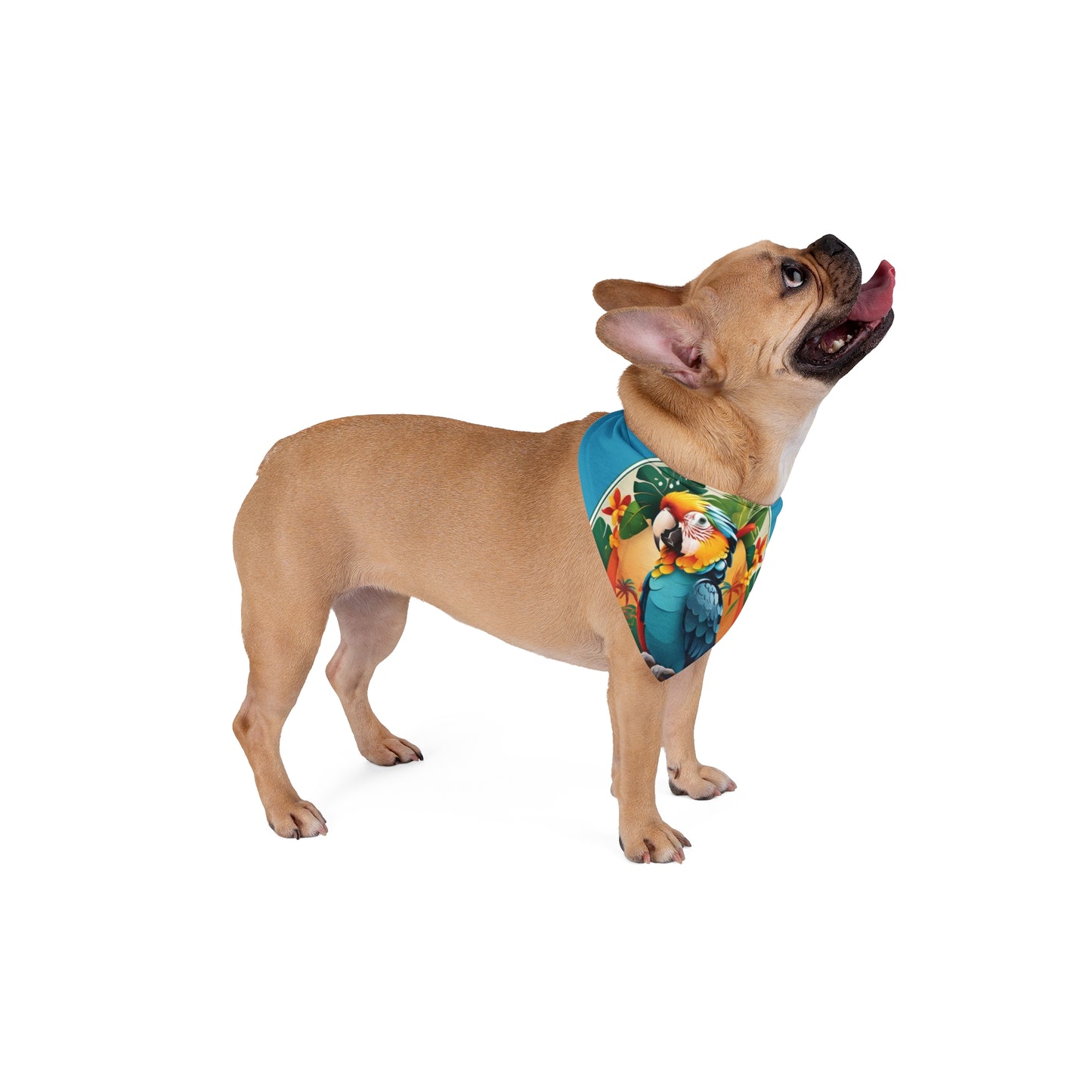 Turquoise Parrot Friend Tropical Pet Bandana, 2 Sizes - Stylish accessory for dogs & cats