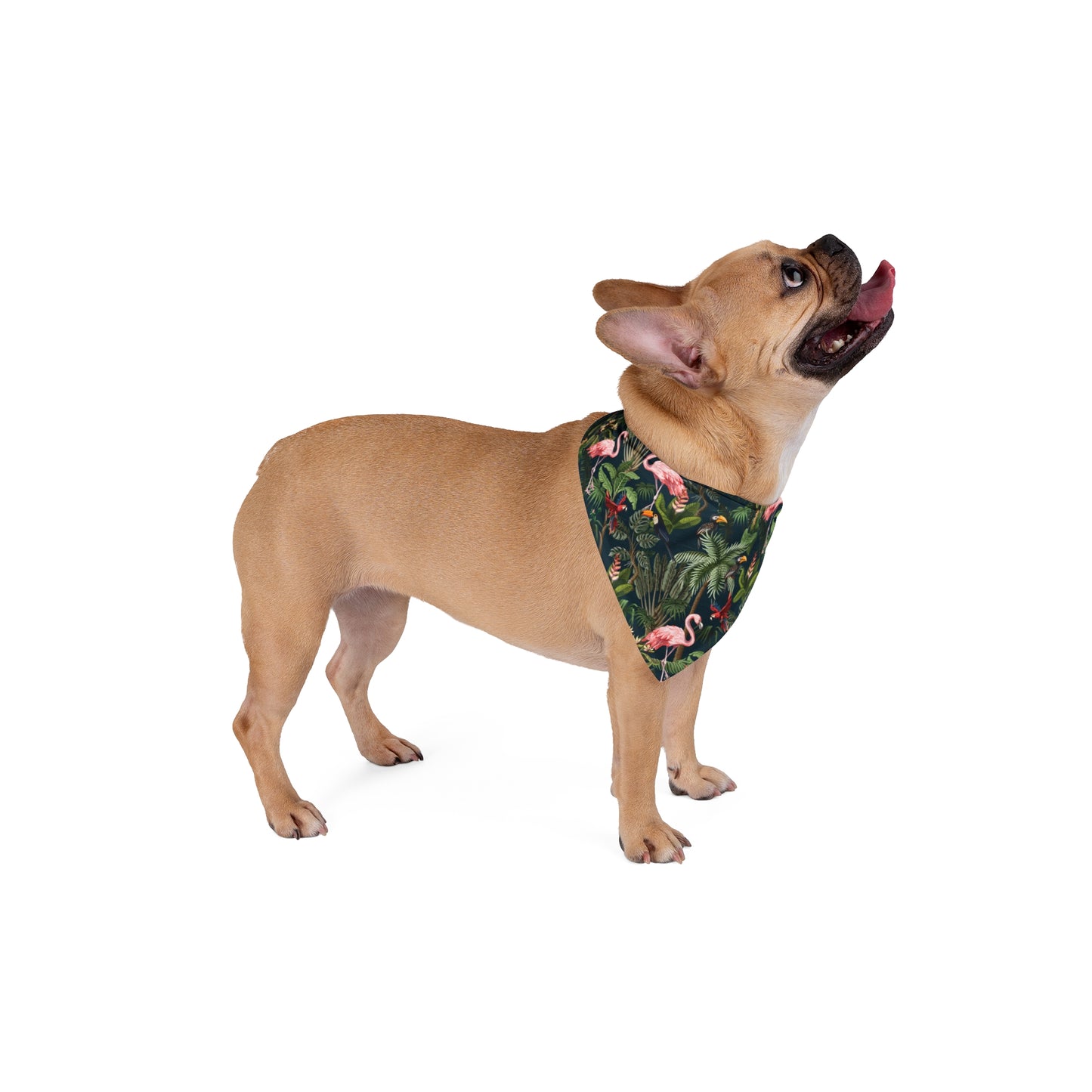 Flamingo Midnight Rainforest Party Tropical Pet Bandana, 2 Sizes - Stylish accessory for dogs & cats