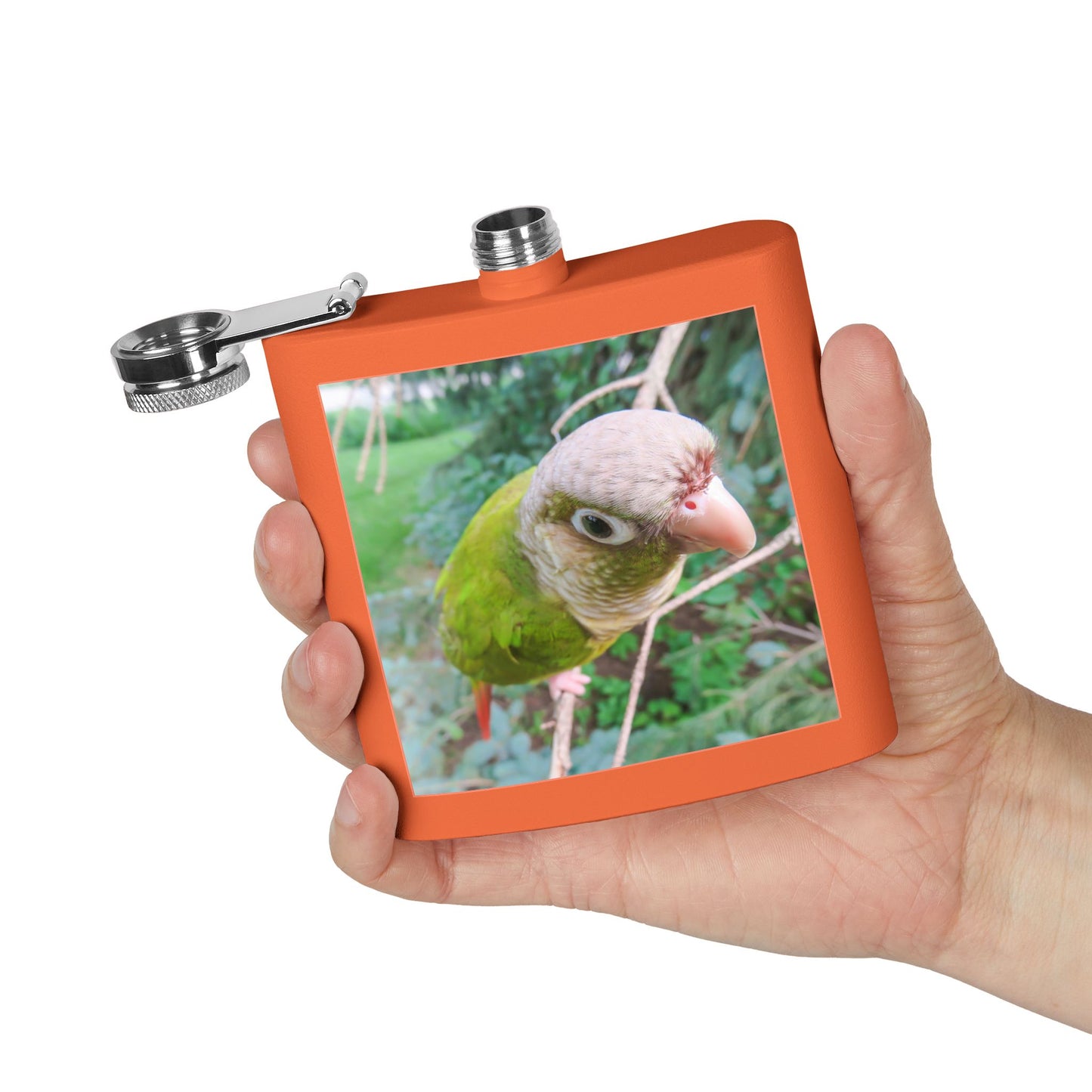 Tropical Stainless Steel 6 oz. Flask, Many Colors  – Sassy Parrot