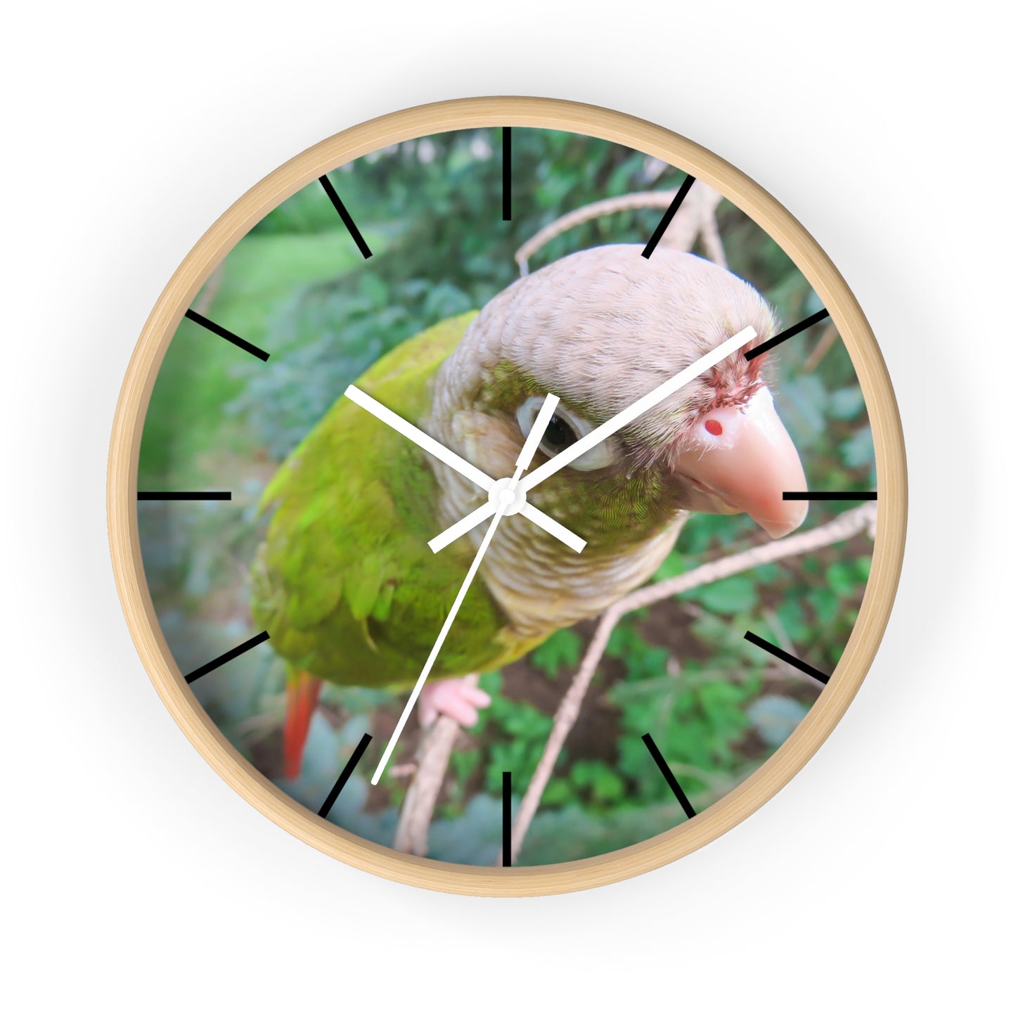 Wall Clock, Spunky Parrot, Hands/Base Variants