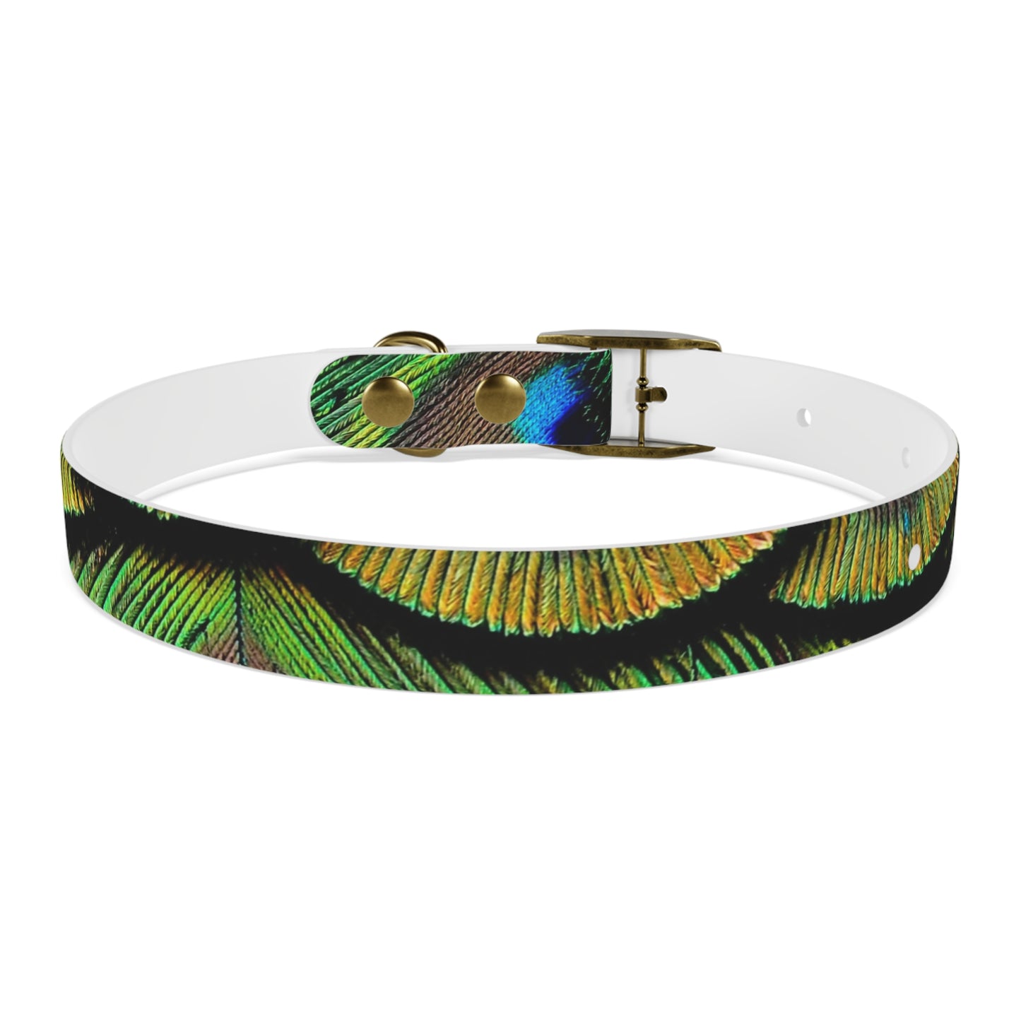 Dog Collar - Brilliant Green Peacock Feathers