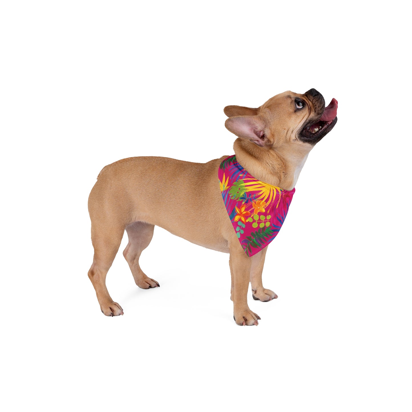 Exotic FloraTropical Pet Bandana, 2 Sizes - Stylish accessory for dogs & cats