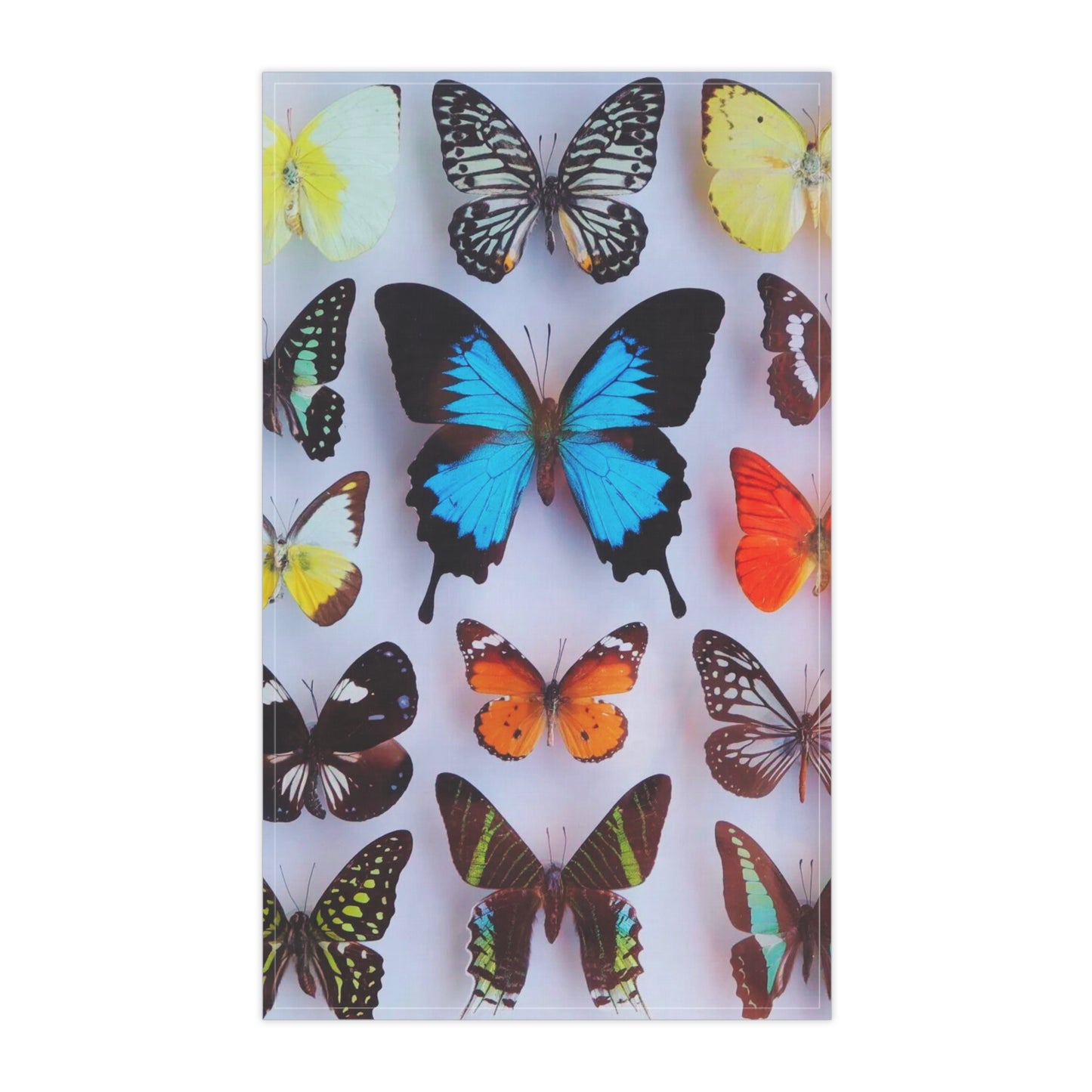 Tea Towels (cotton, poly), Butterfly Collection #1 Macro