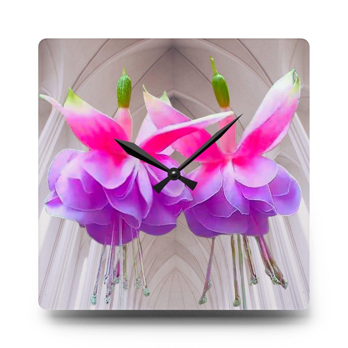 Acrylic Wall Clock, Two Fuchsias, 4 Variants