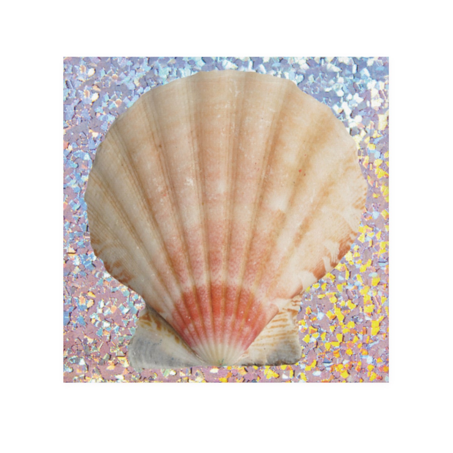 Face Towel - Disco Scallop Shell