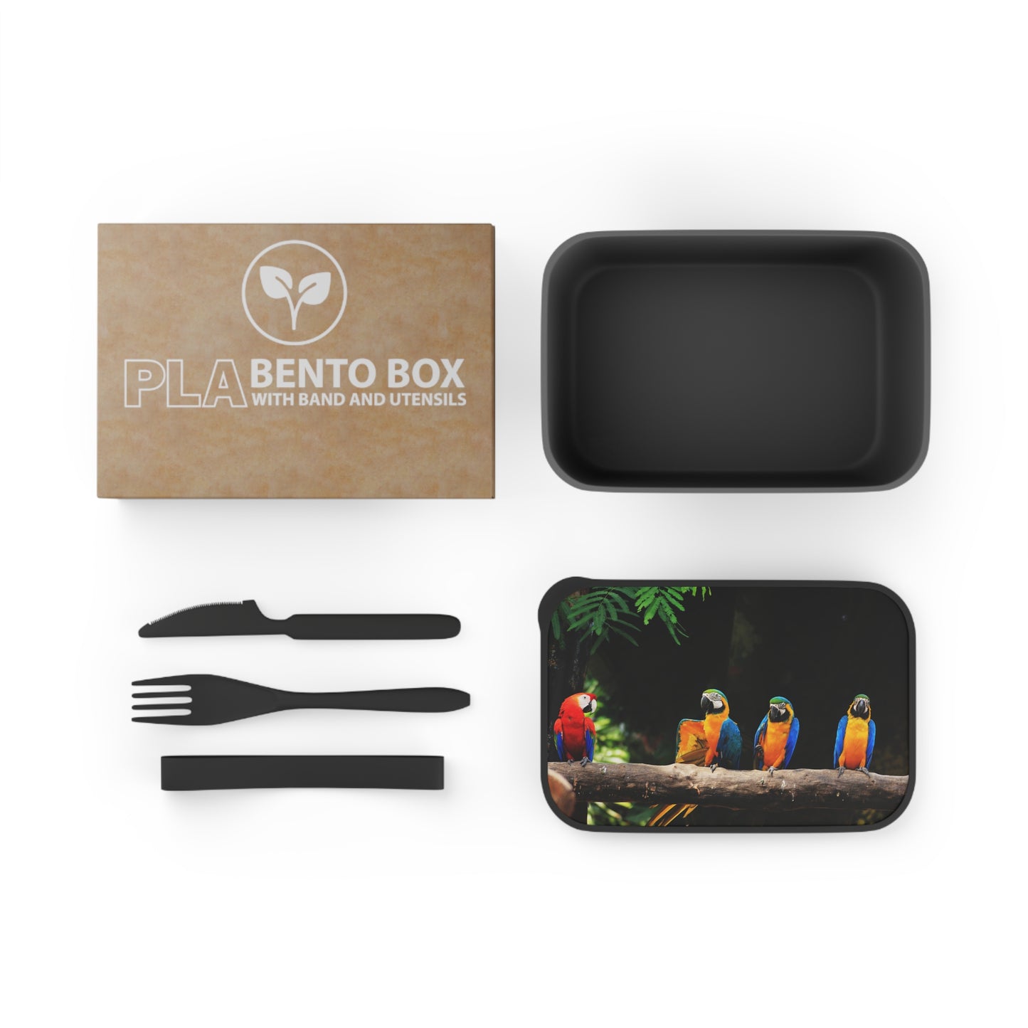 Bento Box with Utensils - Surprising Parrot News