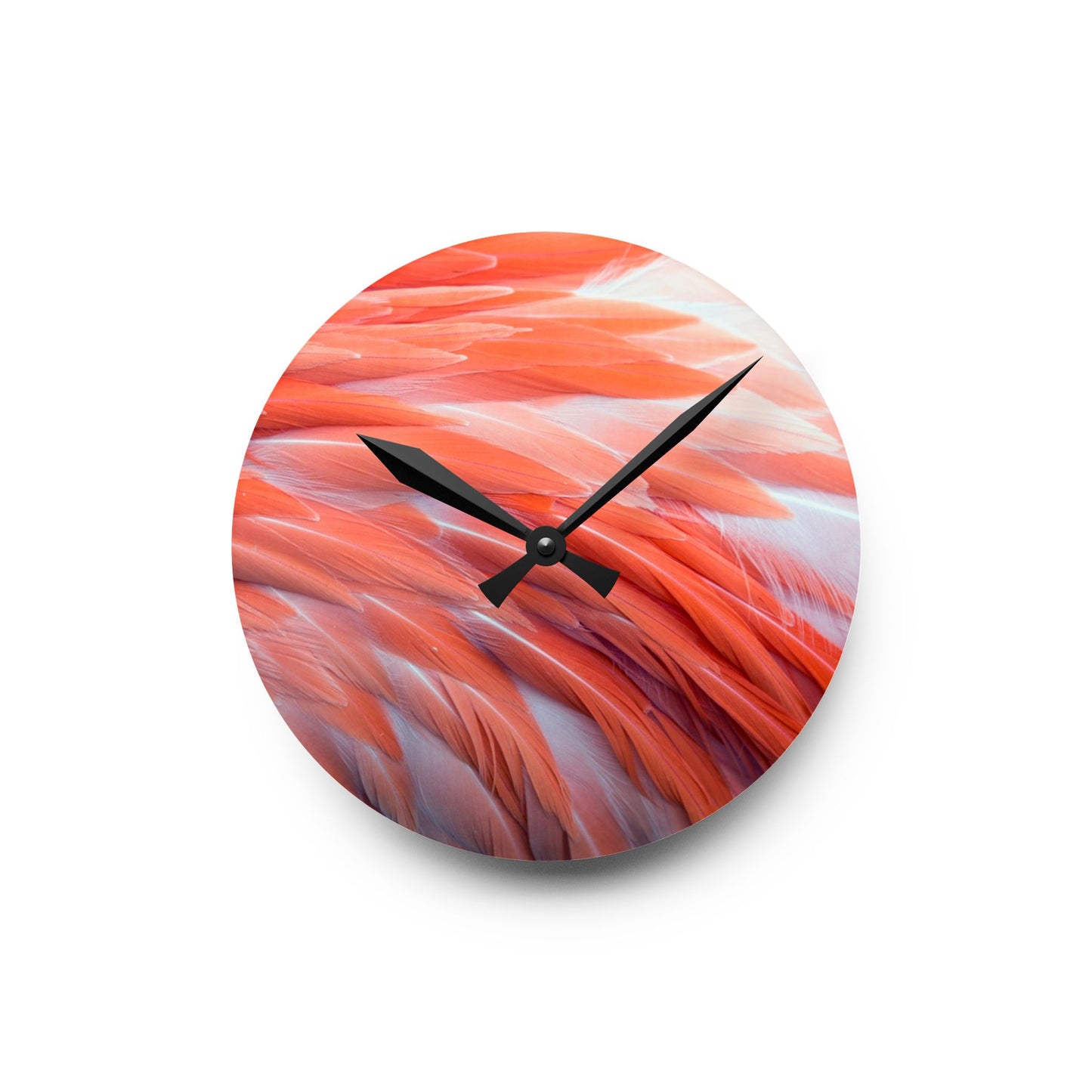 Acrylic Wall Clock, Real Flamingo Feathers