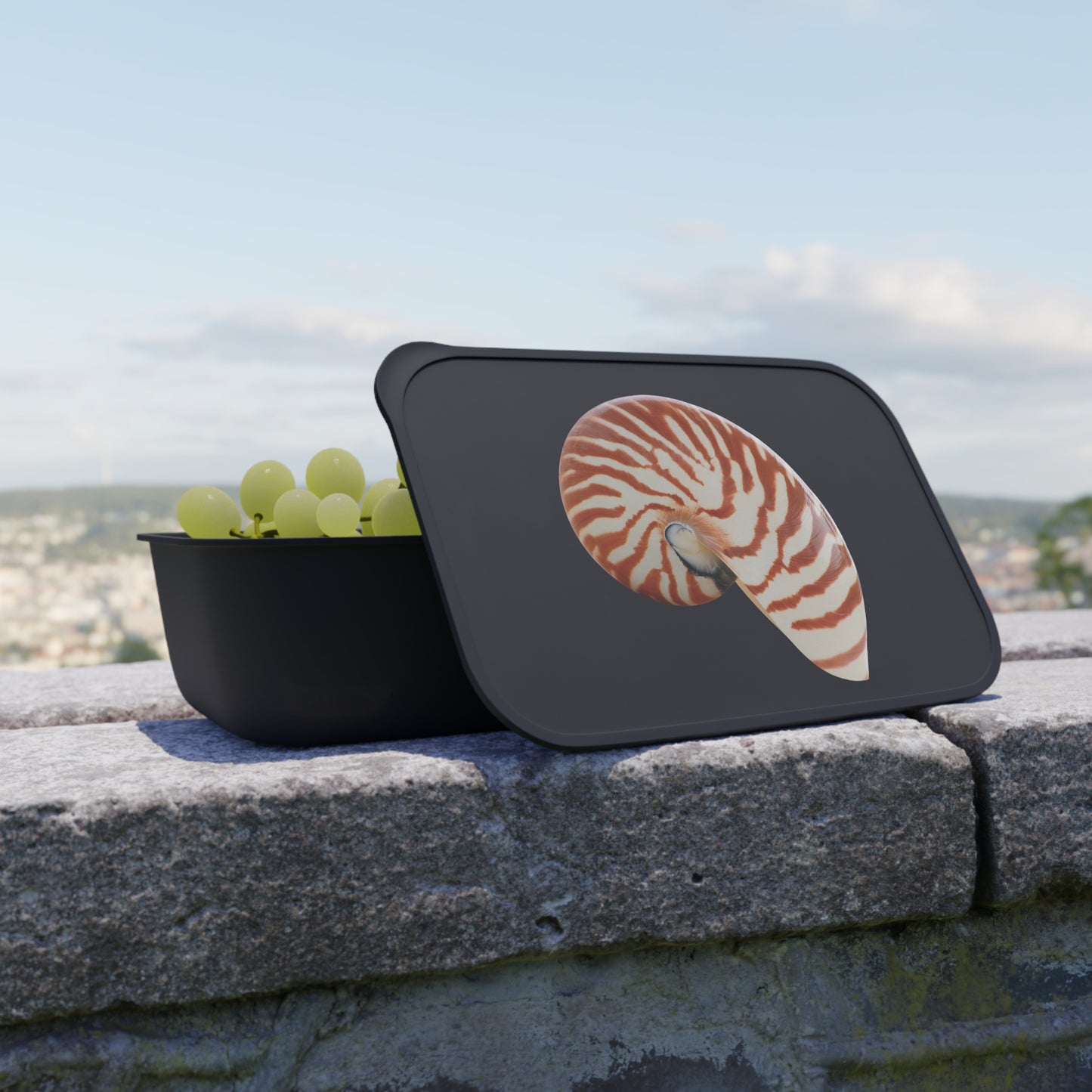 Bento Box with Utensils - Tiger Stripe Nautilus Shell