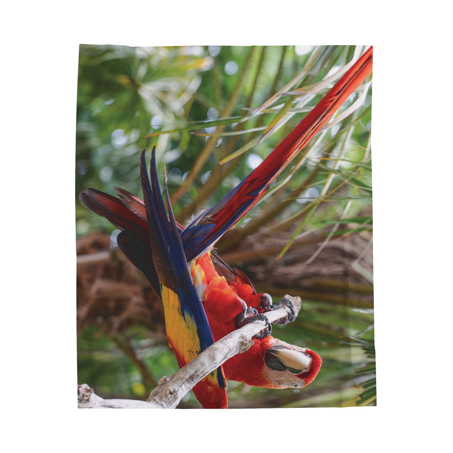 Tropical Gymnast Parrot Velveteen Plush Blanket - Cozy Home Decor for Nature Lovers