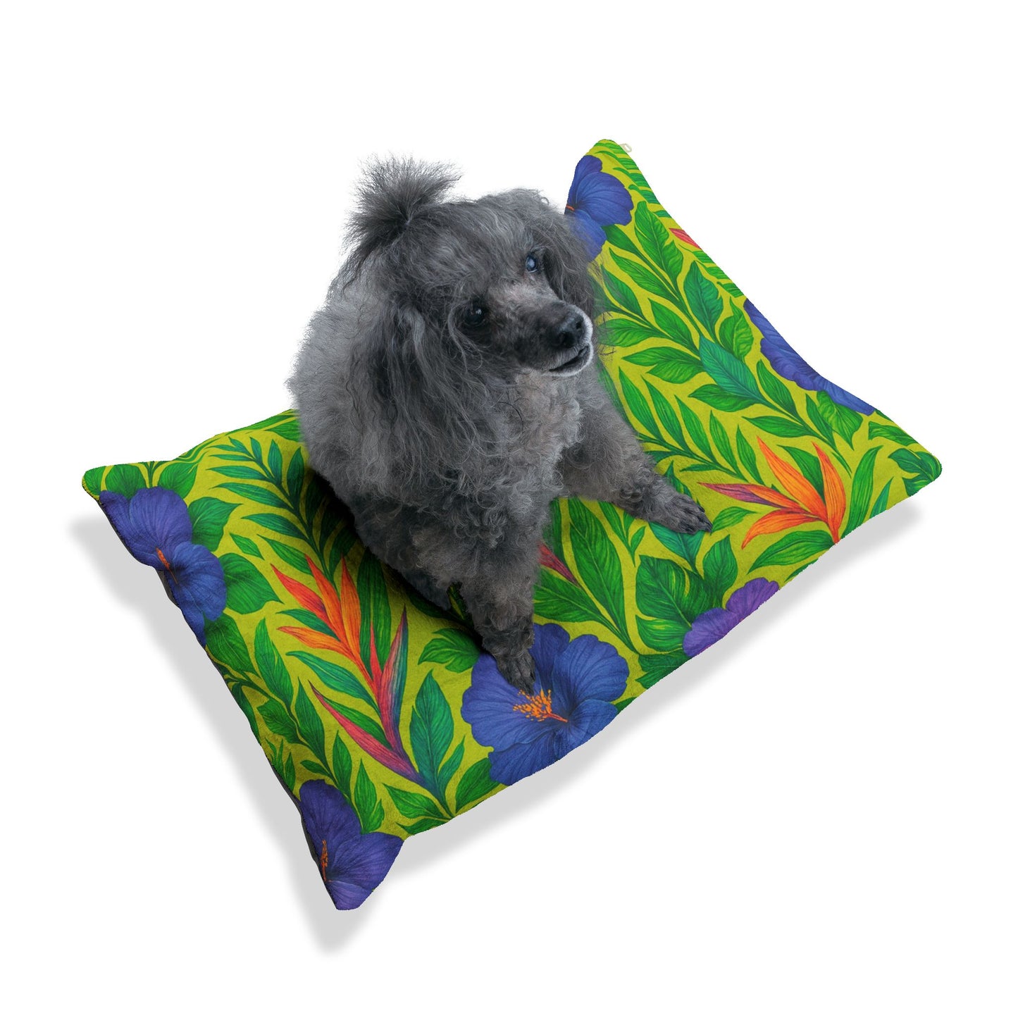 Pet Bed - Cozy and Fun Dog or Cat Bed for Beach Lovers / Midnight Flower Yellow