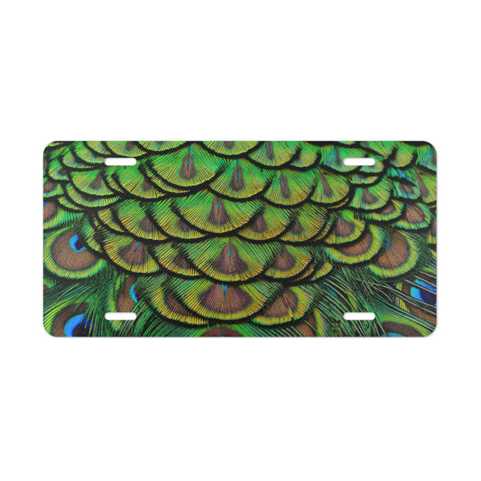 Green Peacock Feathers Vanity Plate - Colorful Tropical Design for Cars, Trucks, and Decor