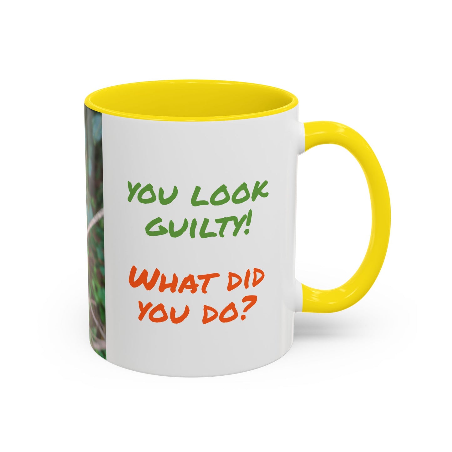 Parrot Accent Coffee Mug (11, 15oz), 8 Colors - You Look Guilty!