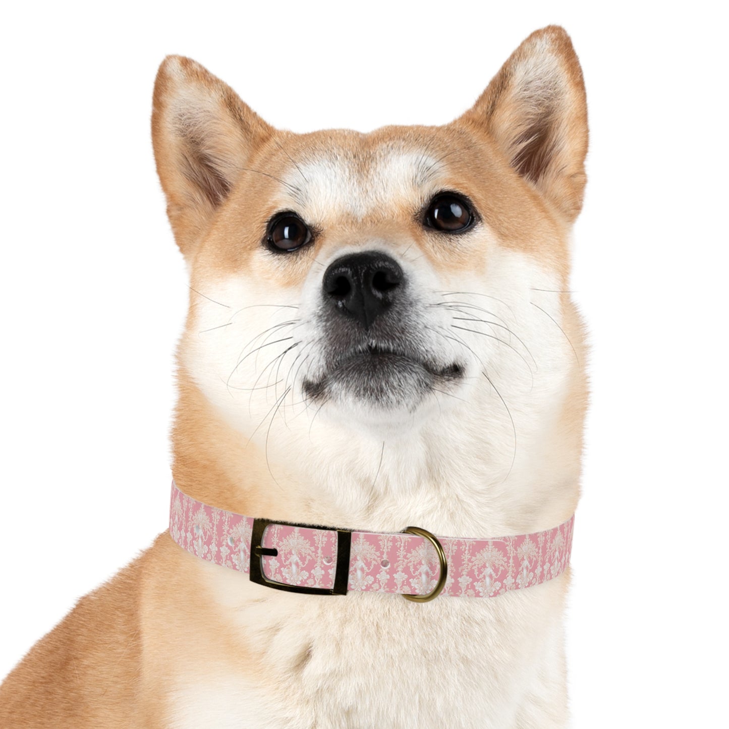 Dog Collar - Pearl Lady Toile, hibiscus pink