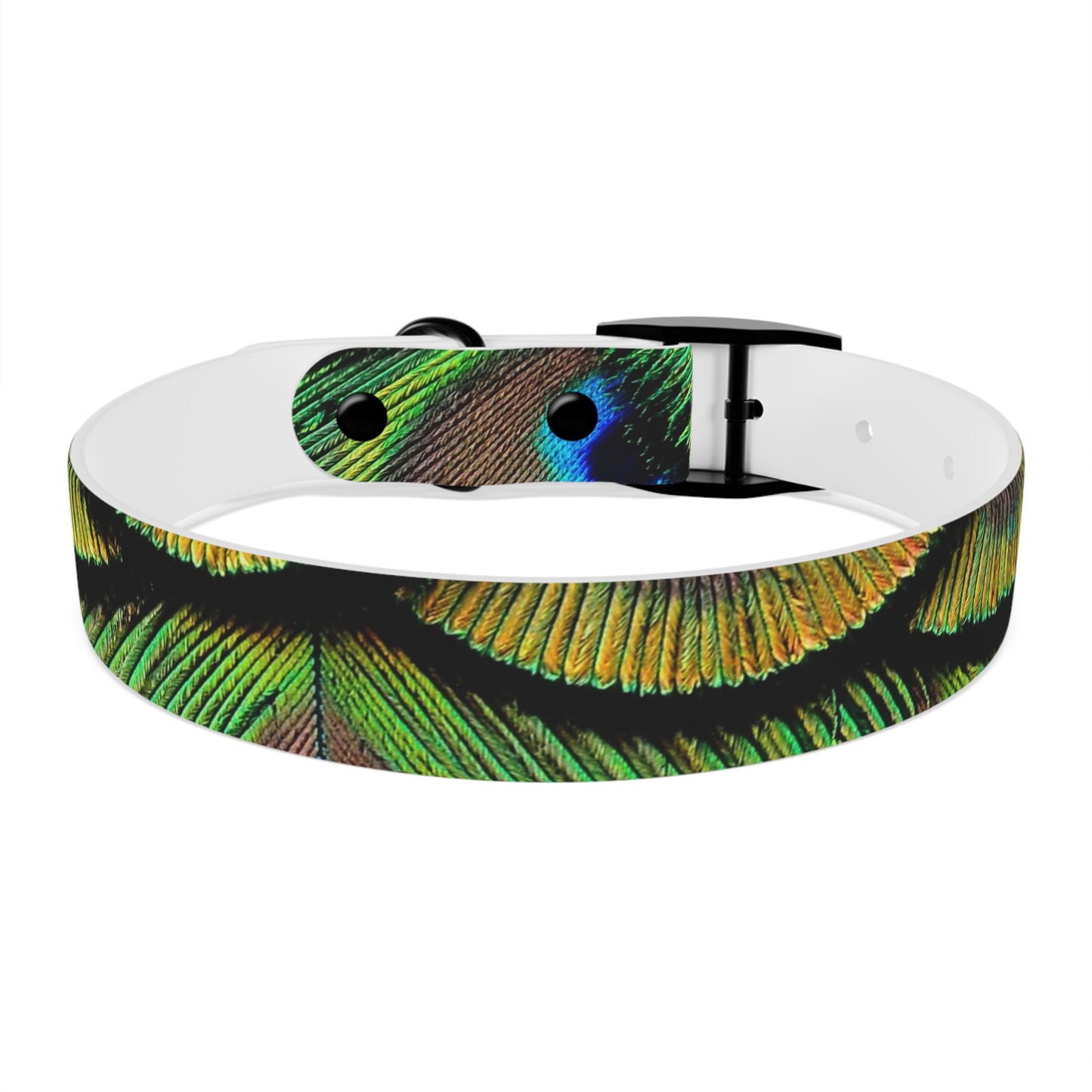 Dog Collar - Brilliant Green Peacock Feathers