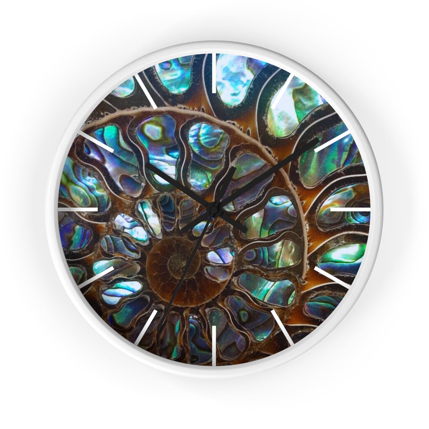 Wall Clock, Ammonite & Ablaone, Hands/Base Variants