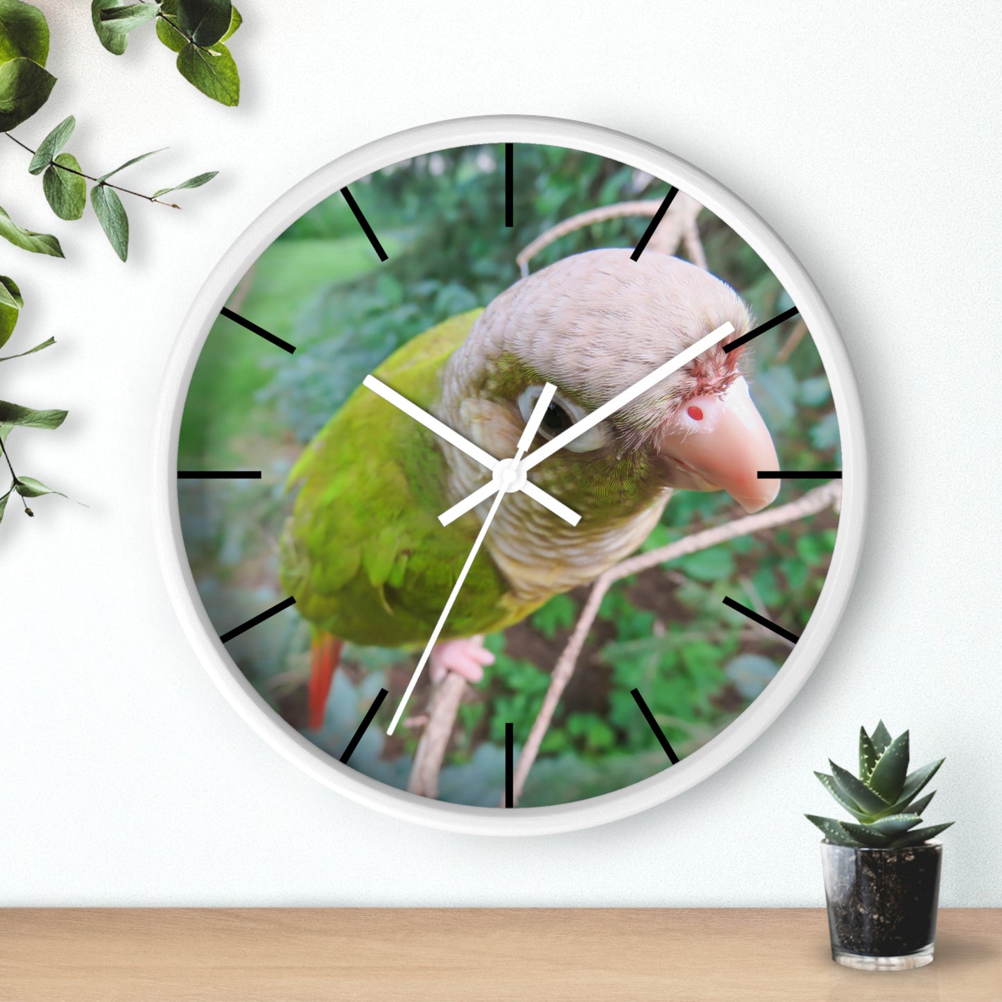 Wall Clock, Spunky Parrot, Hands/Base Variants