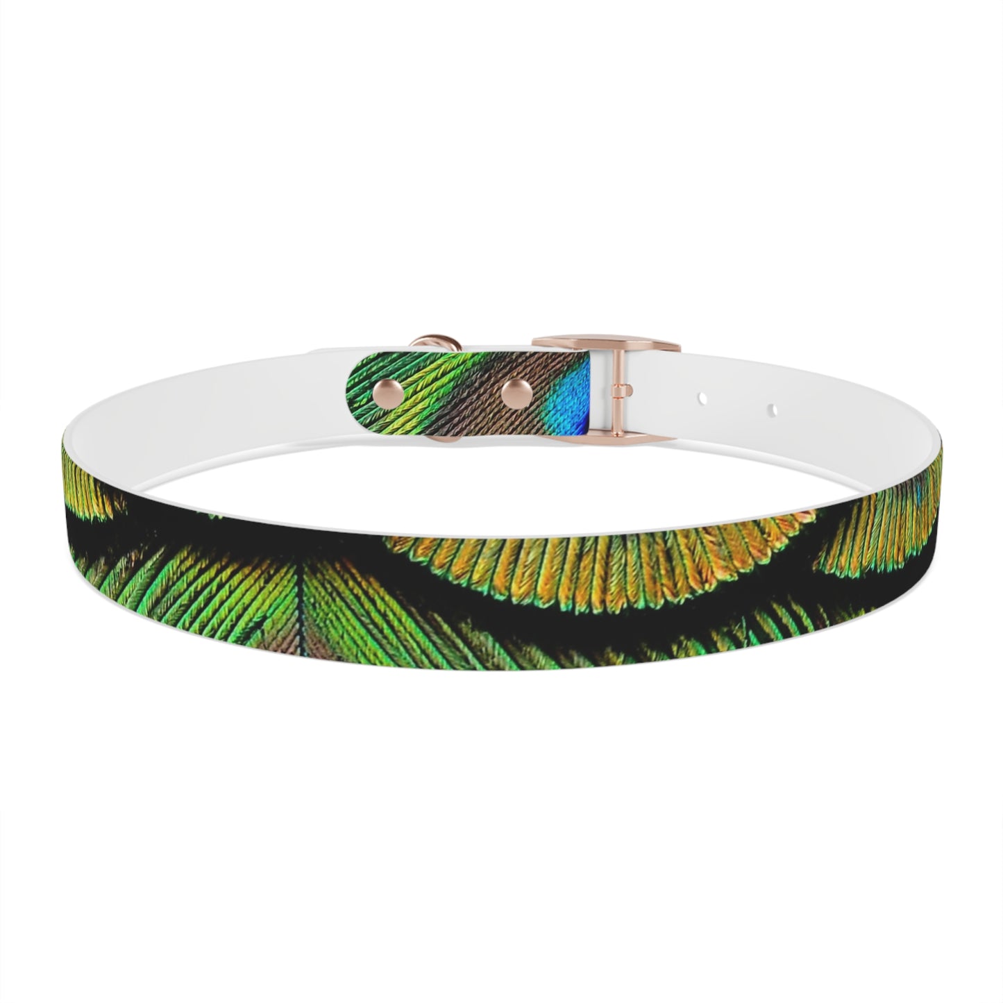 Dog Collar - Brilliant Green Peacock Feathers