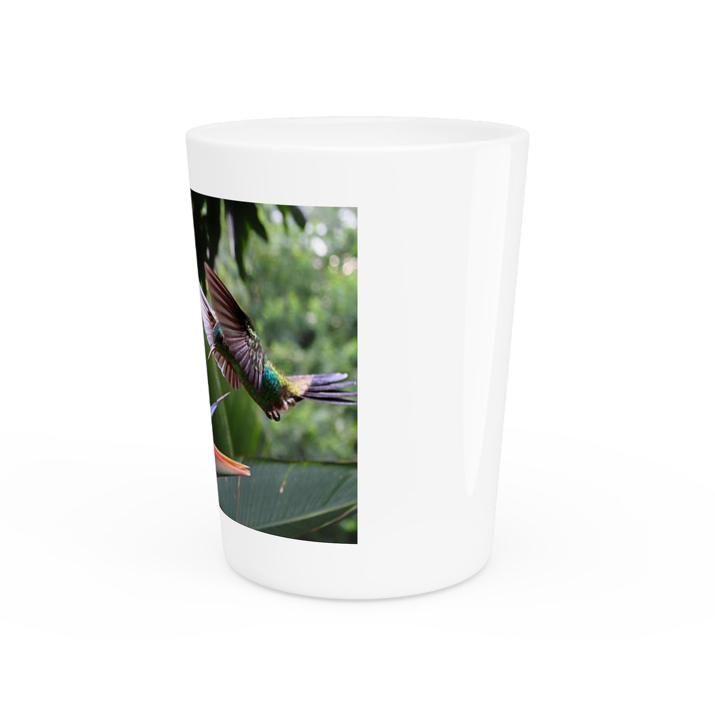 Copy of Ceramic Shot Glass - Shore Aquarium