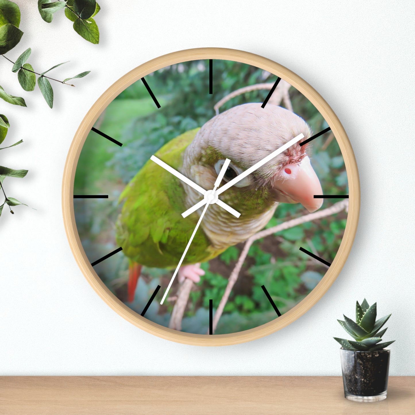 Wall Clock, Spunky Parrot, Hands/Base Variants