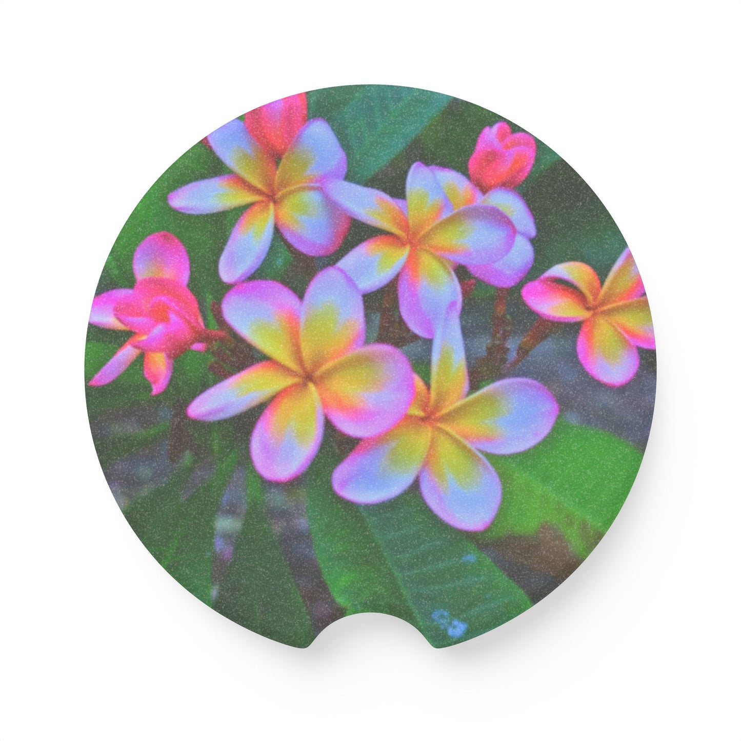 Soapstone Car Coaster - Hawaiian Flowers