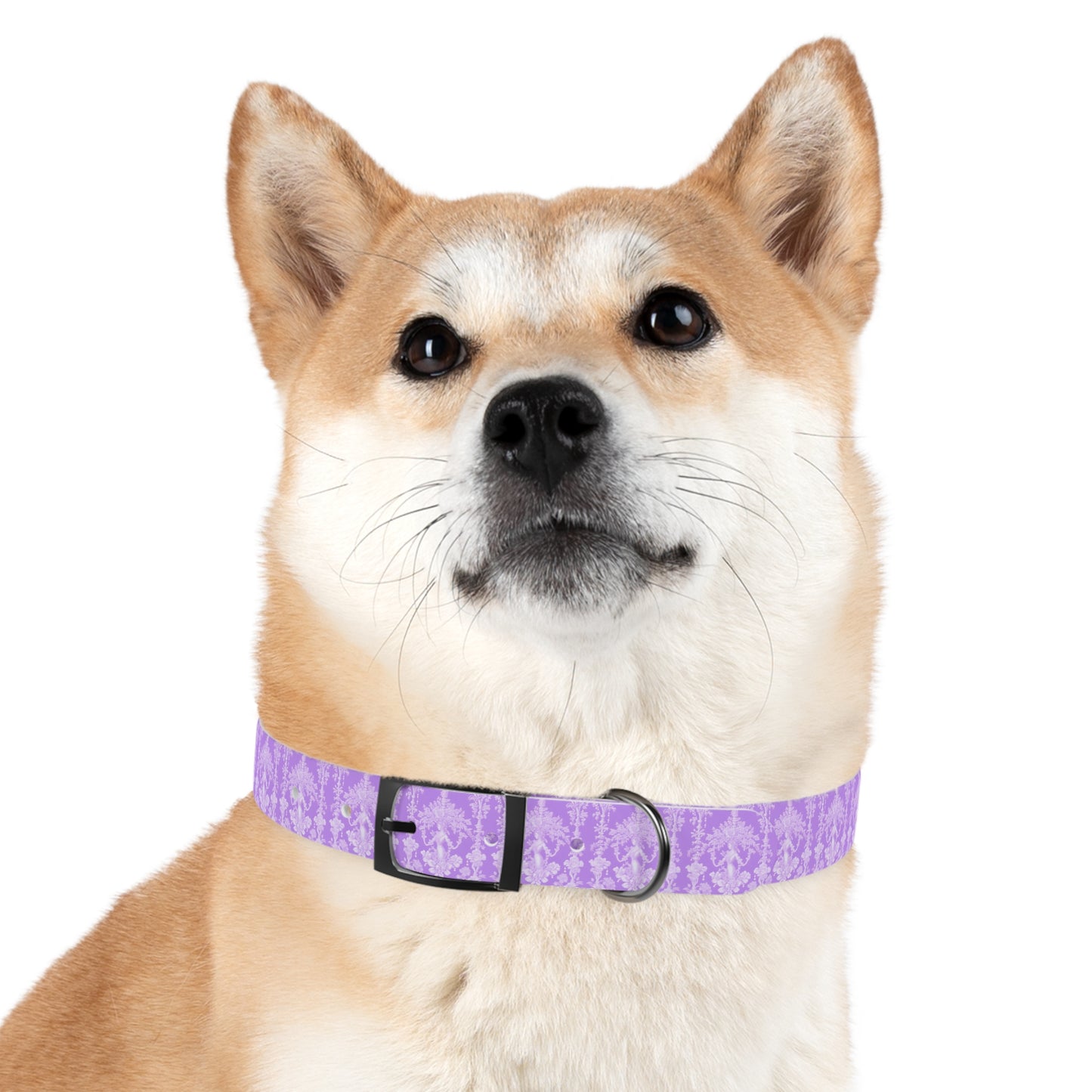 Dog Collar - Pearl Lady Toile, purple