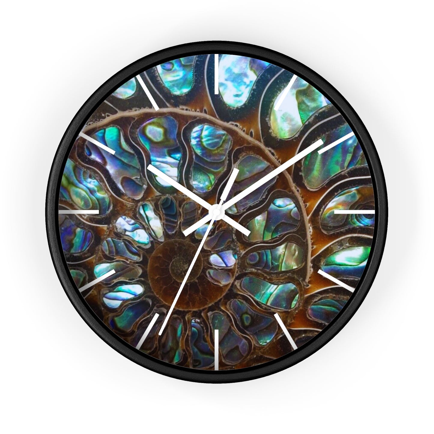 Wall Clock, Ammonite & Ablaone, Hands/Base Variants