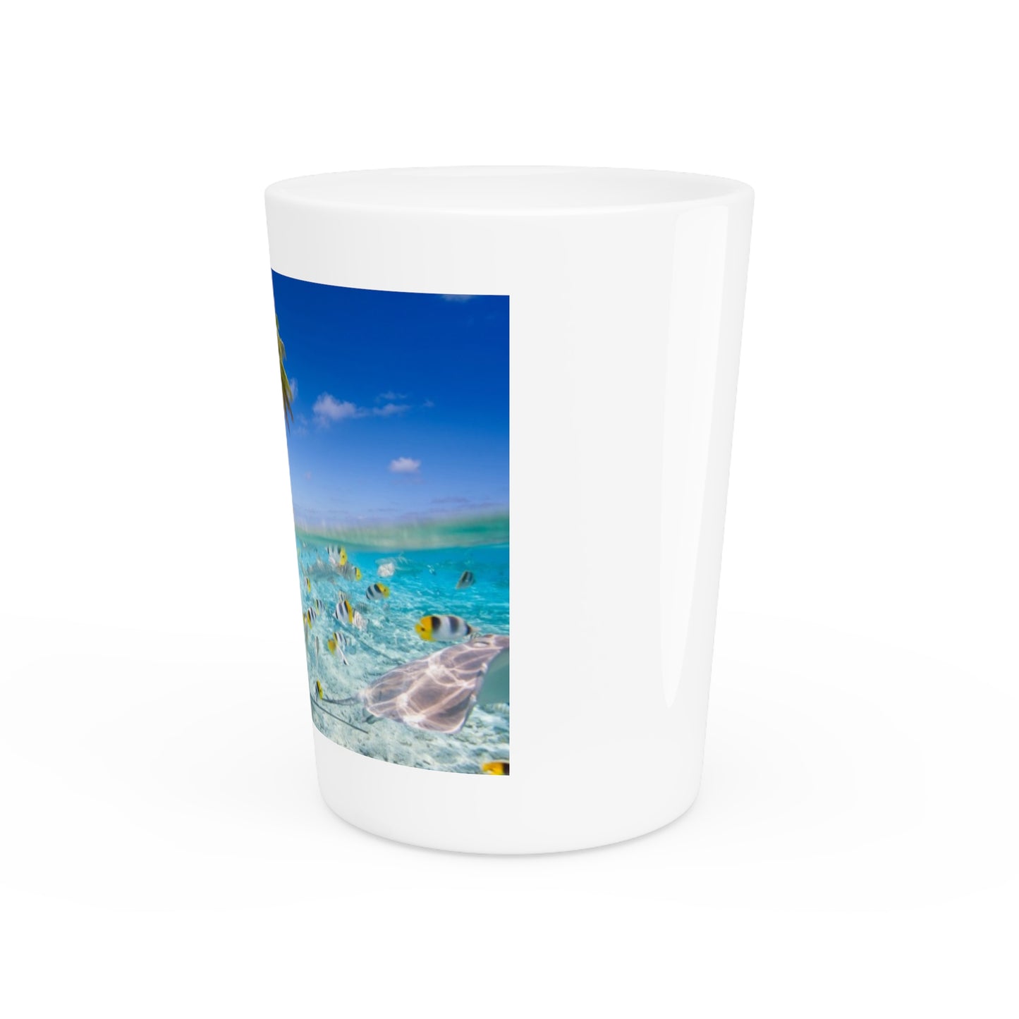 Ceramic Shot Glass - Shore Aquarium