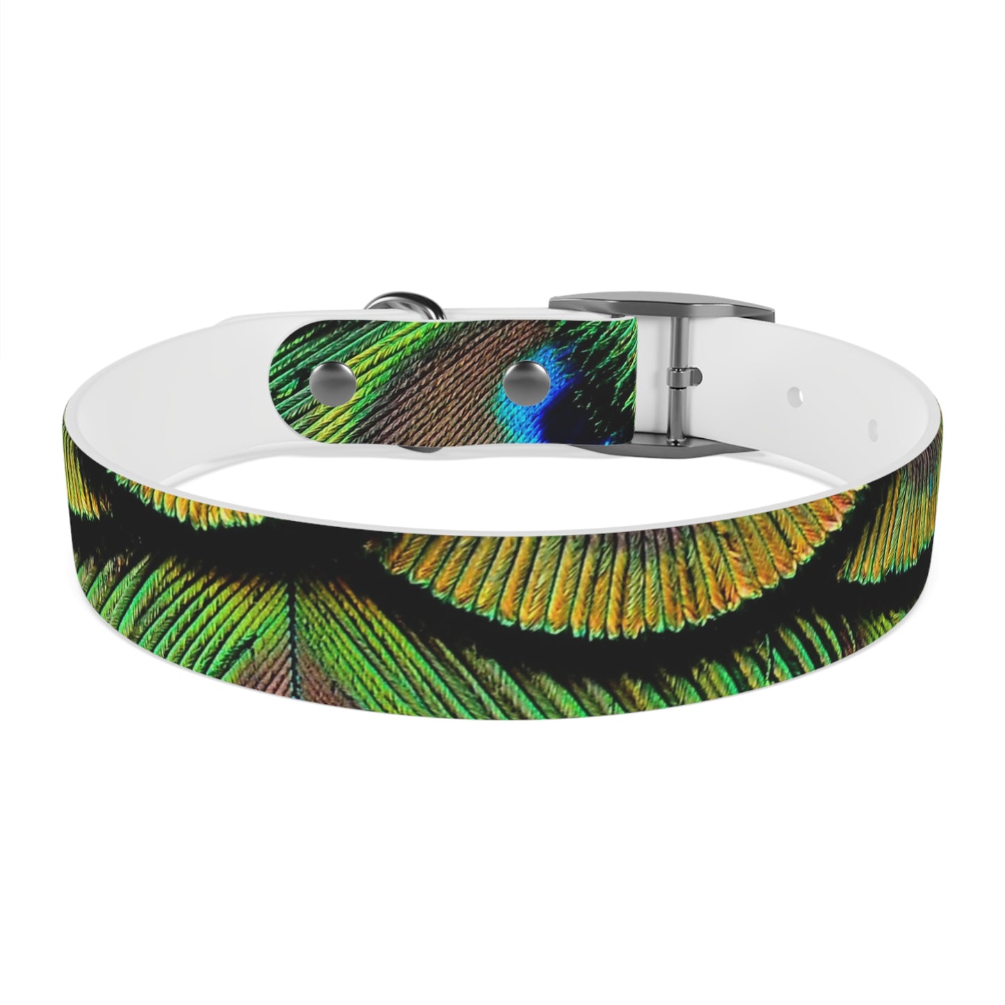 Dog Collar - Brilliant Green Peacock Feathers