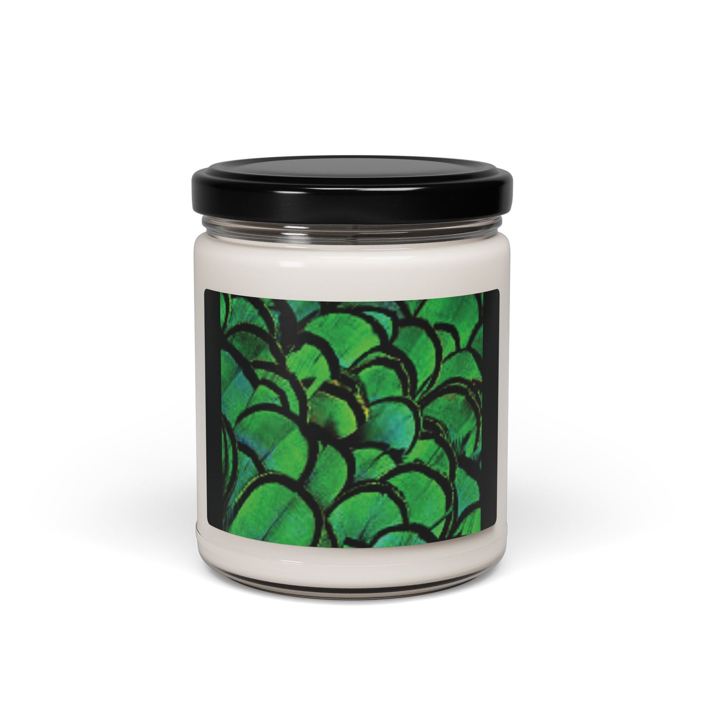 Scented Soy Candle, 9oz, Green Peacock