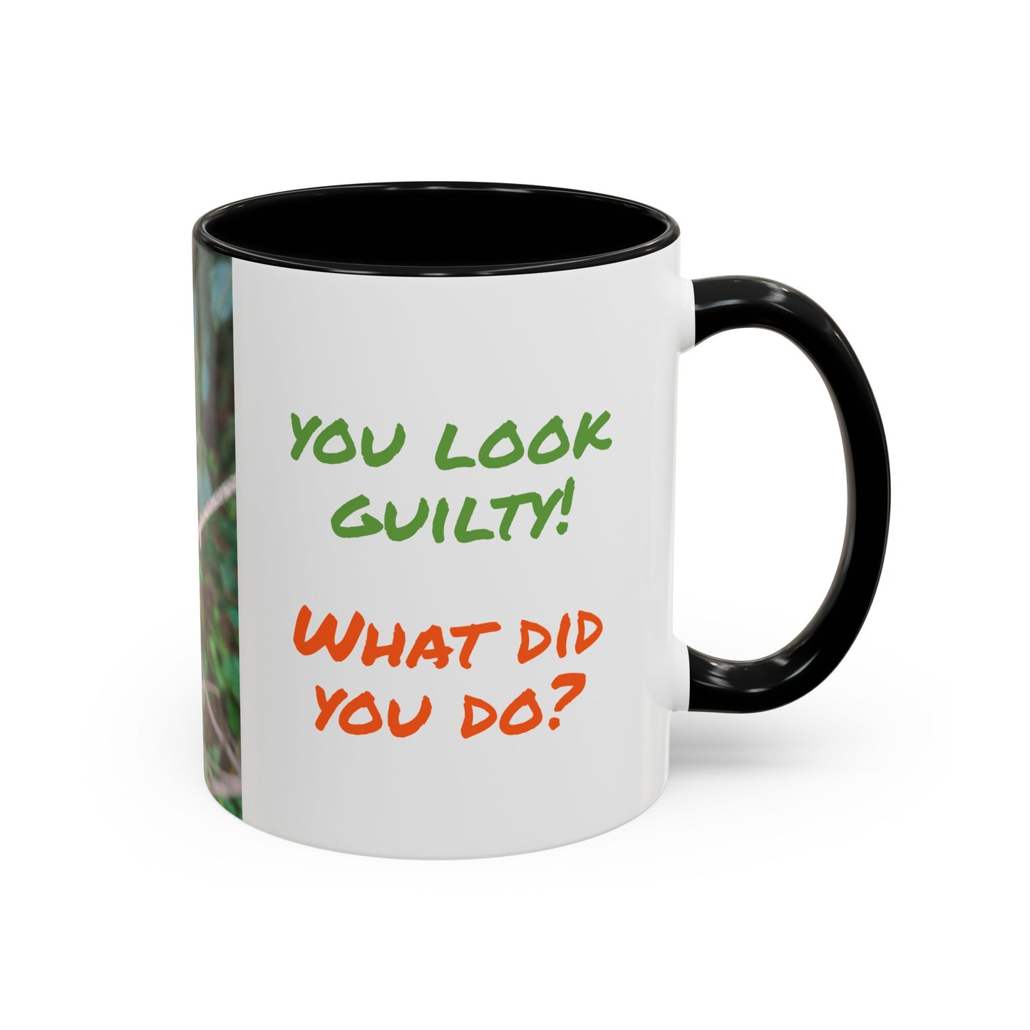 Parrot Accent Coffee Mug (11, 15oz), 8 Colors - You Look Guilty!