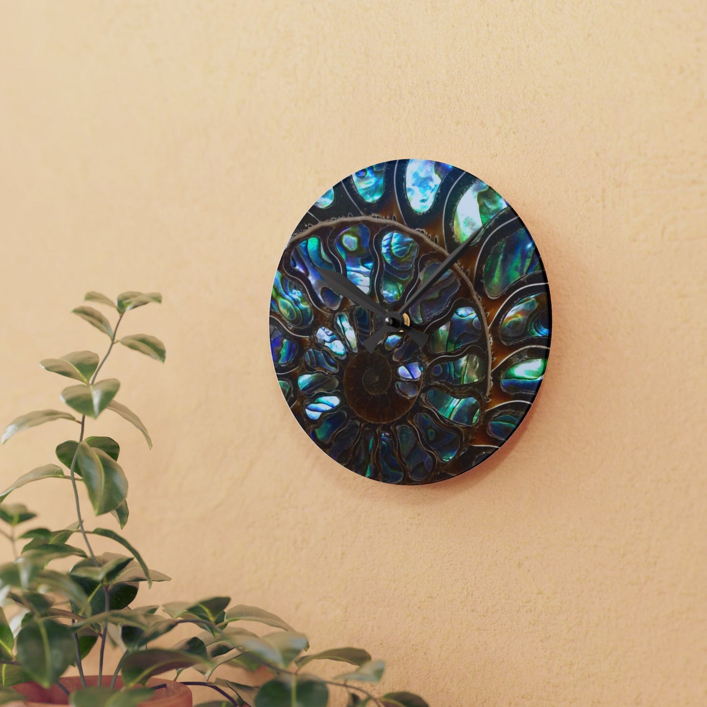 Acrylic Wall Clock, Ammonite & Abalone, 4 Variants