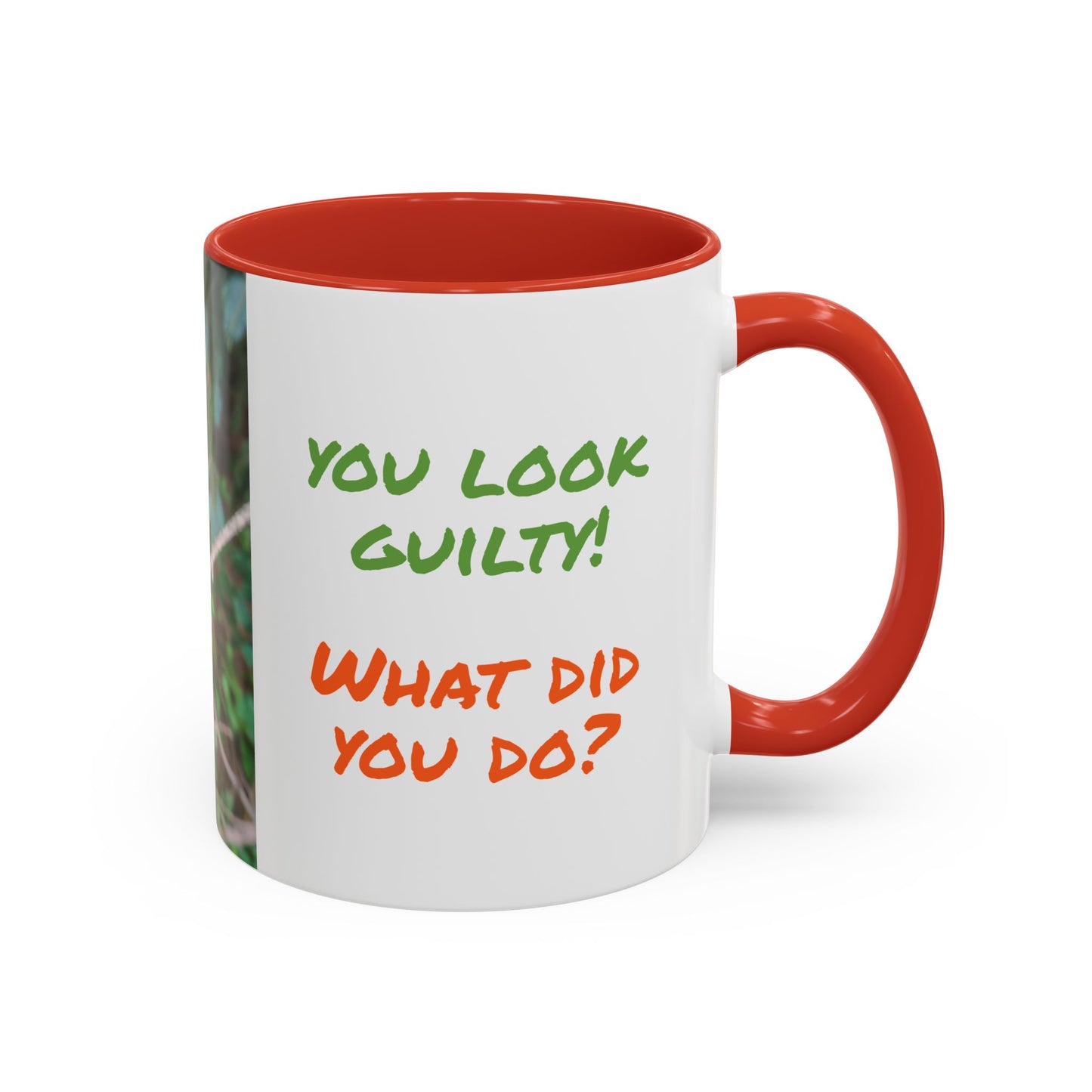 Parrot Accent Coffee Mug (11, 15oz), 8 Colors - You Look Guilty!