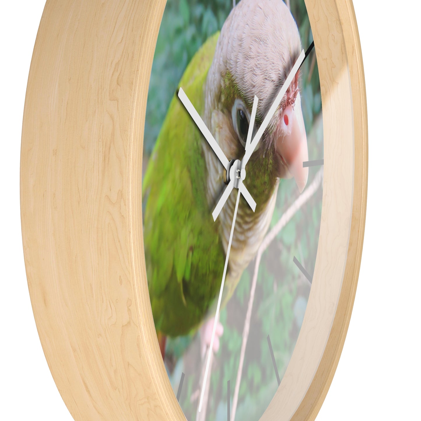 Wall Clock, Spunky Parrot, Hands/Base Variants