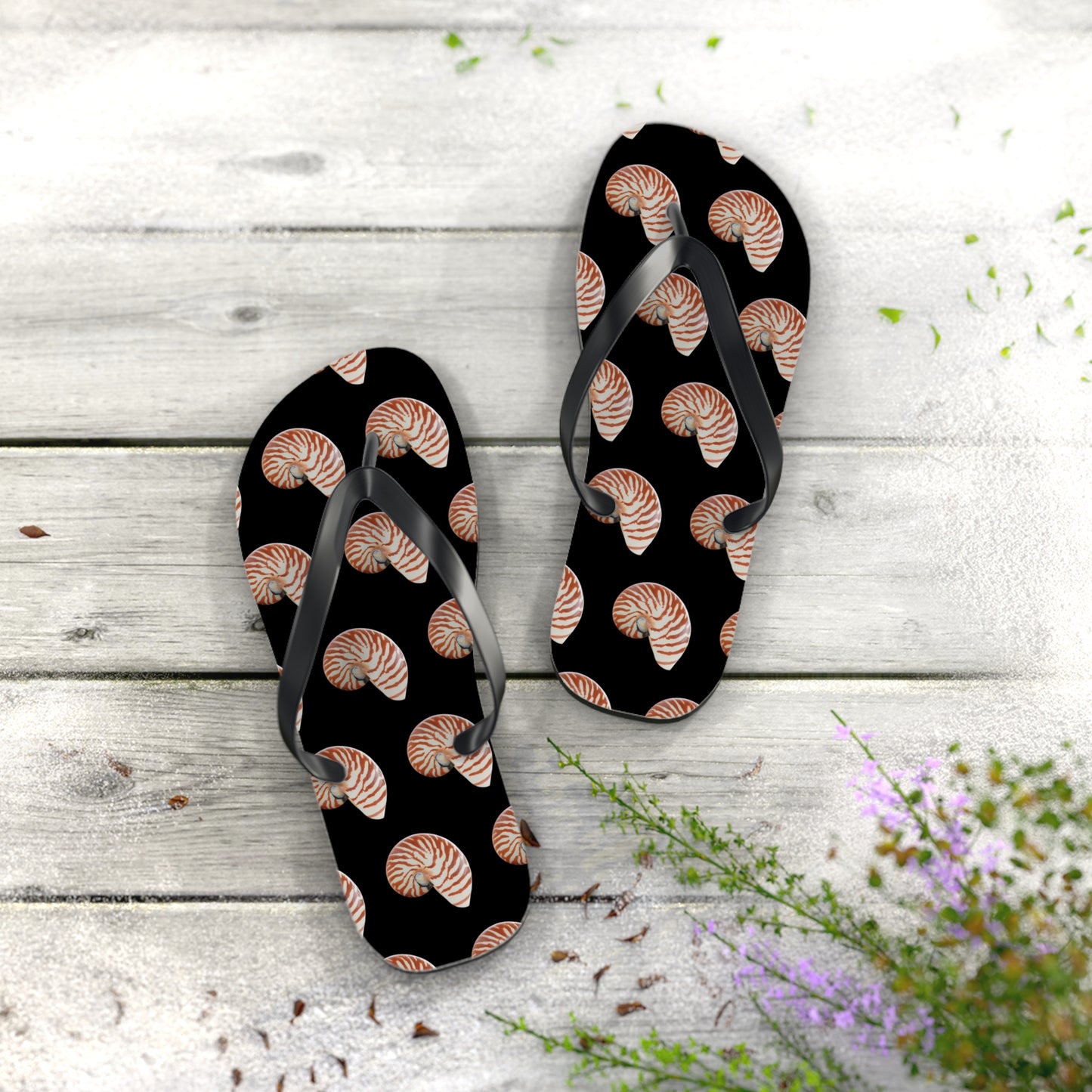 Flip Flops - Tiger Stripe Nautilus Shell, black